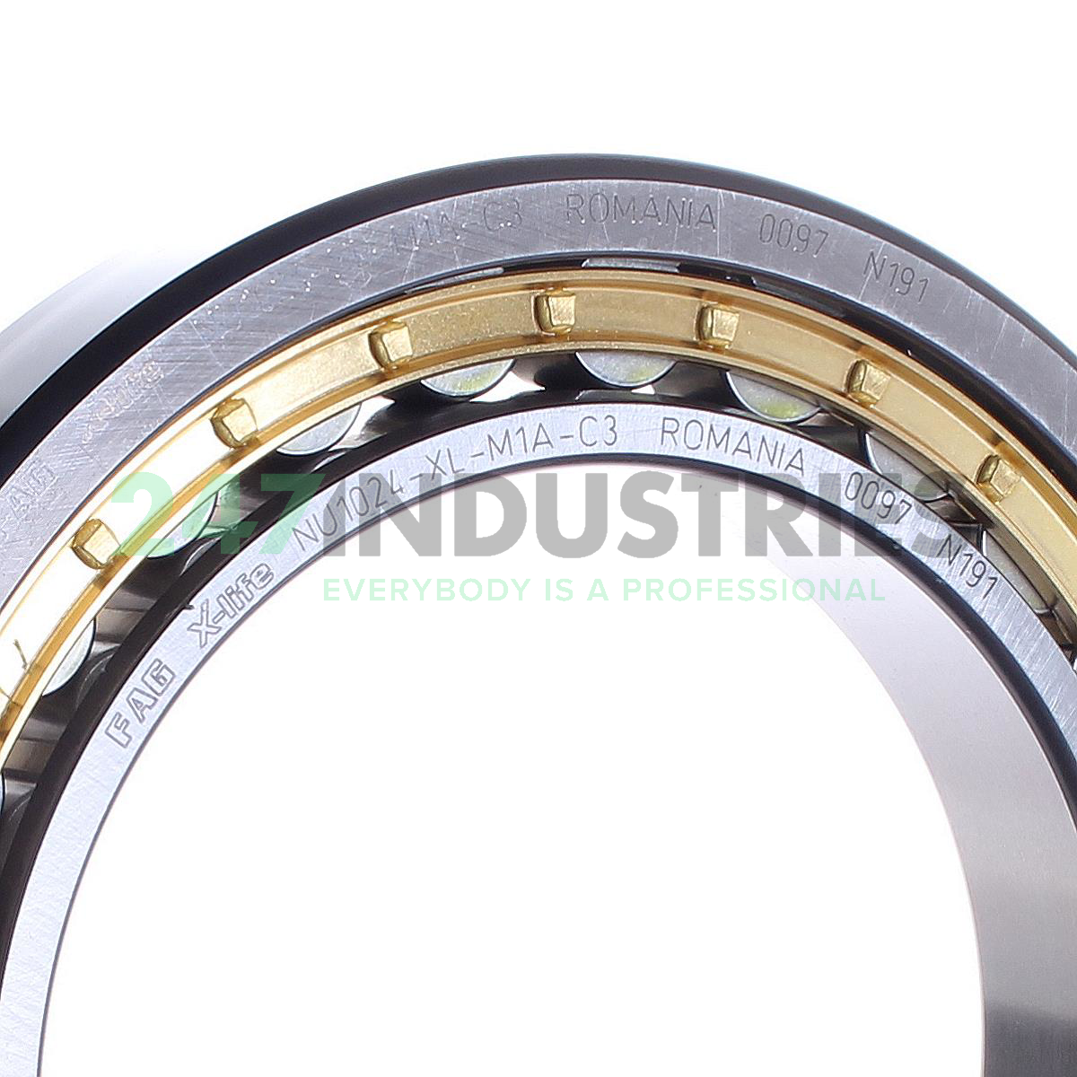 NU1024-XL-M1A-C3 FAG Image 2