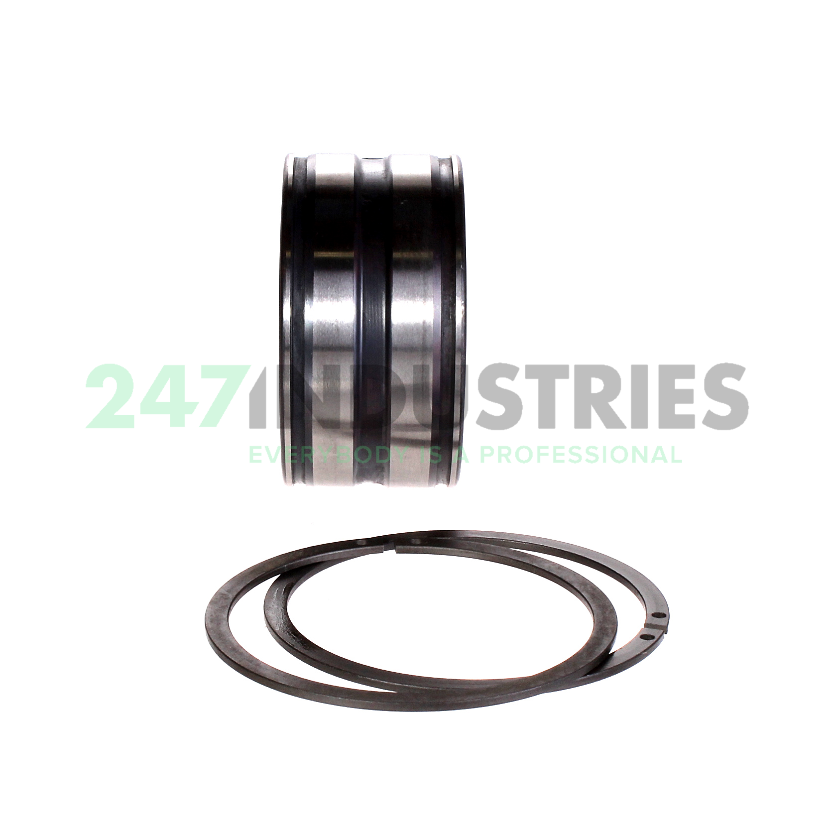 SL045009-PP-2NR-C3-GA22 INA Image 3