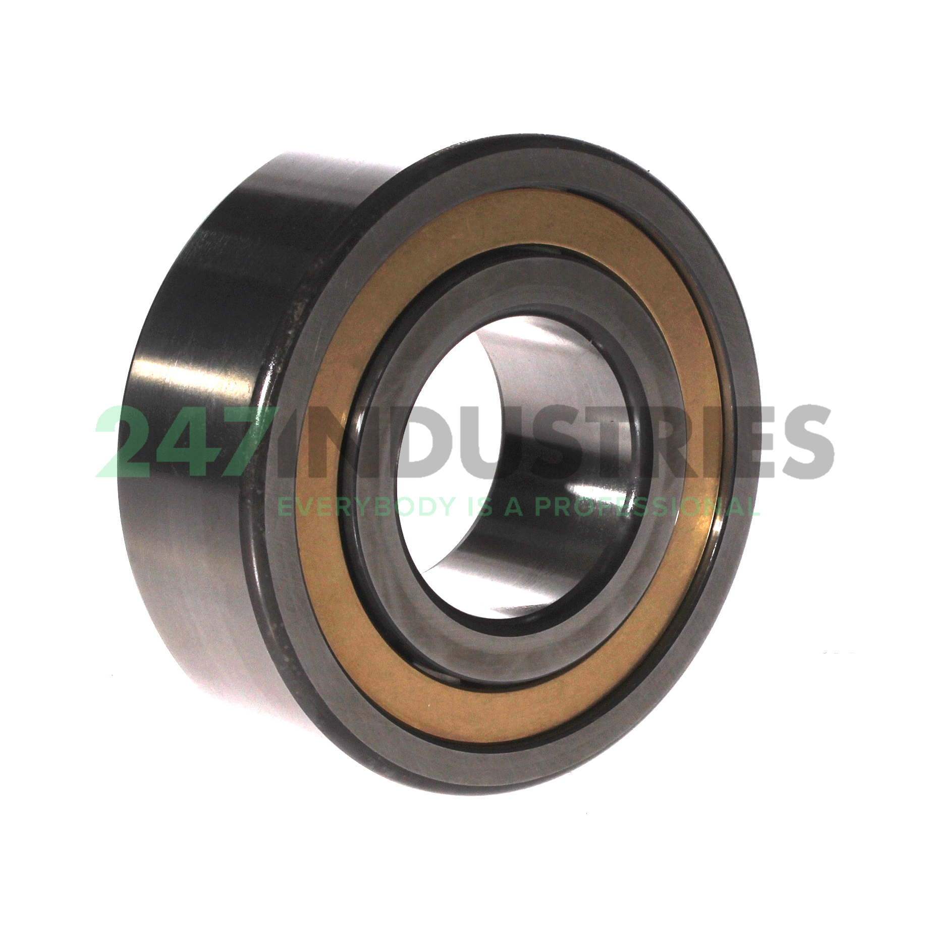 NJ2310-E-M1A-F59-C3 FAG Image 2