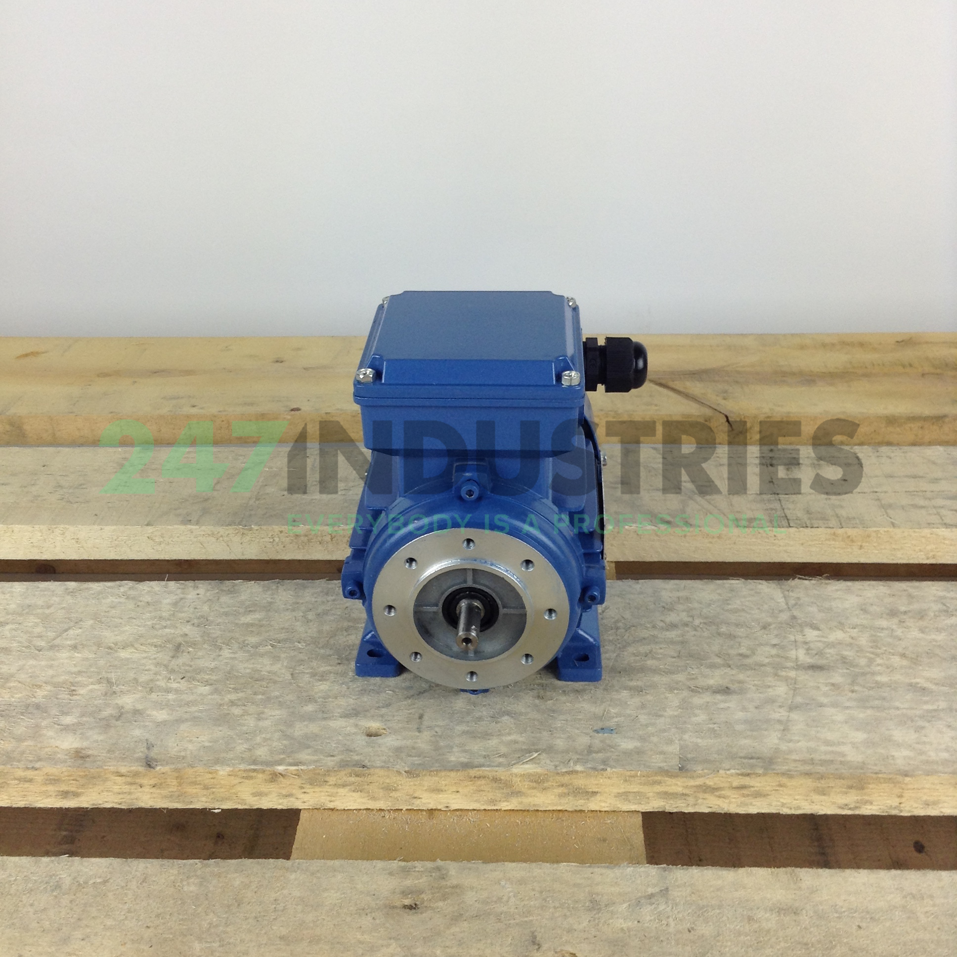 MS5624B34 Gibbons Image 4