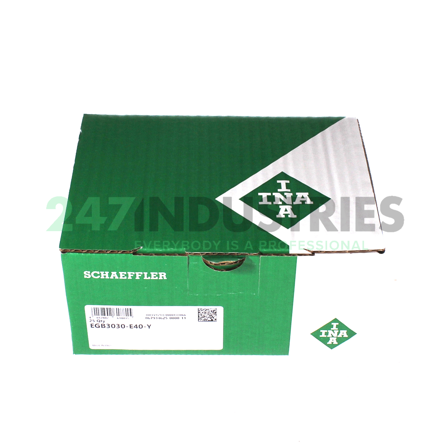 EGB3030-E40-Y INA Image 3