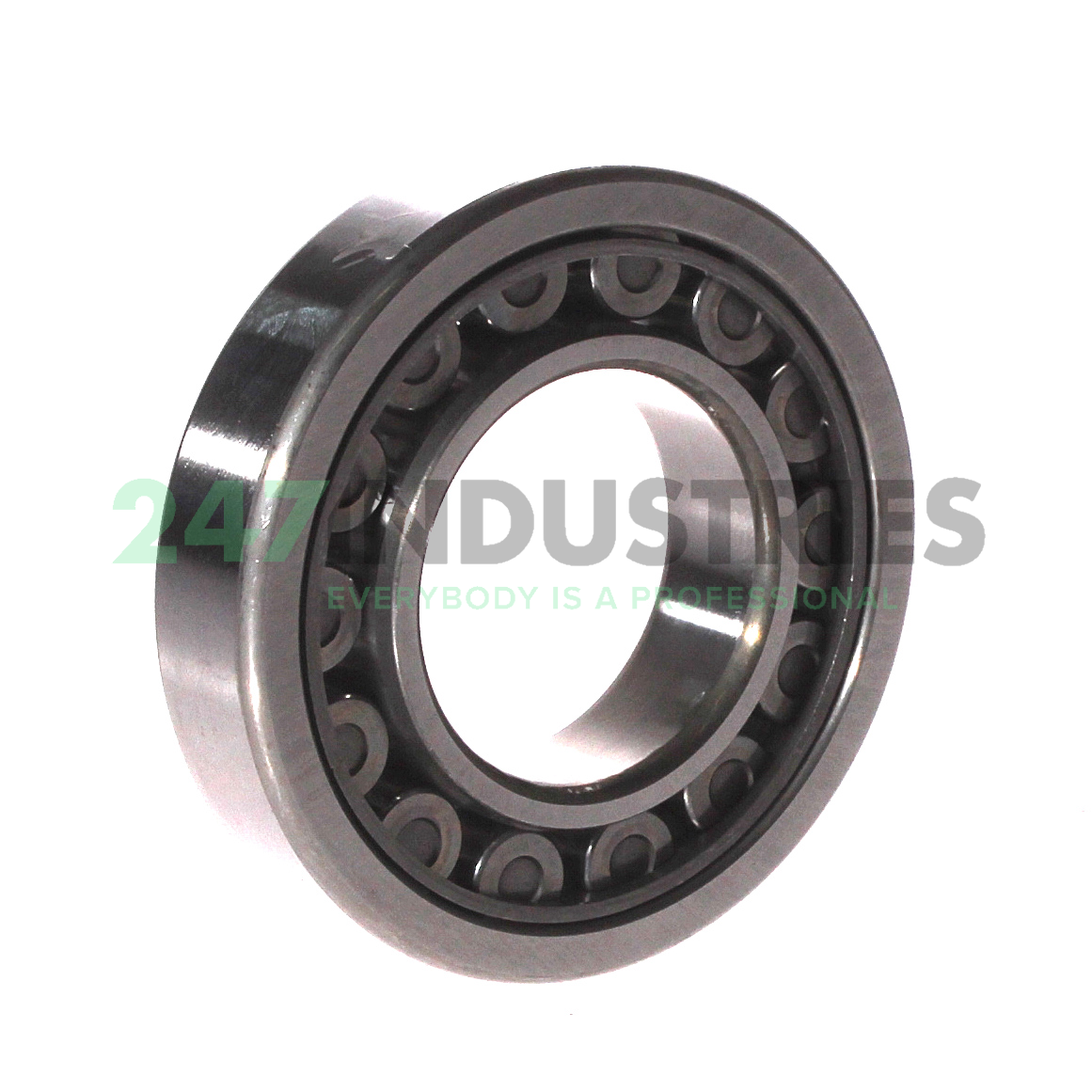 NU208EW NSK Image 2