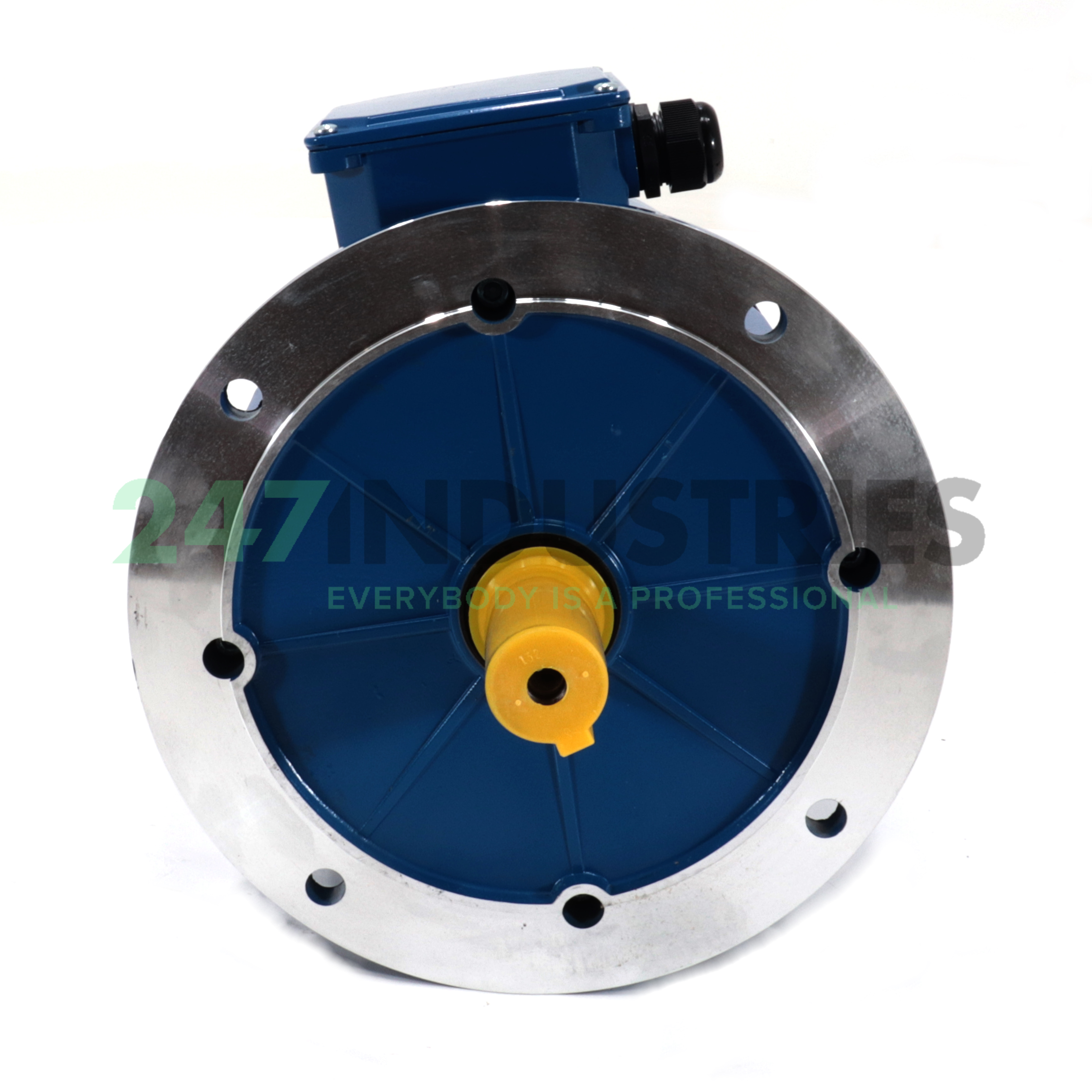 MS132S-4-B5 BGR Image 2