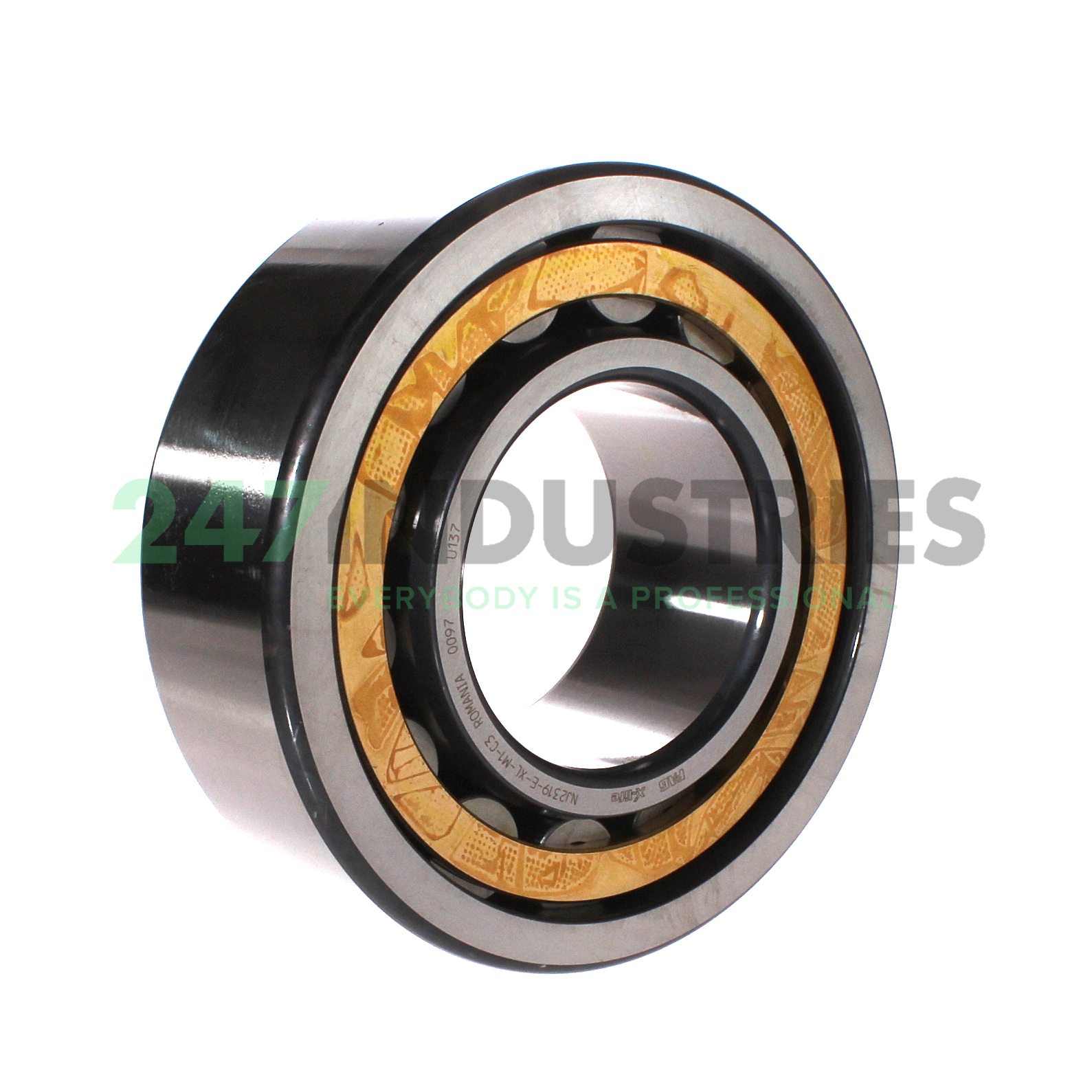 NJ2319-E-XL-M1-C3 FAG Image 3