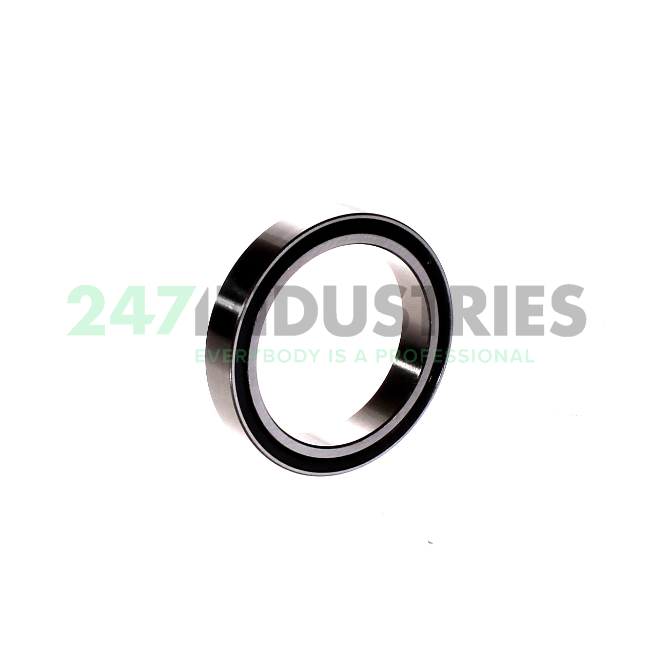 3811-2RS INA Image 2