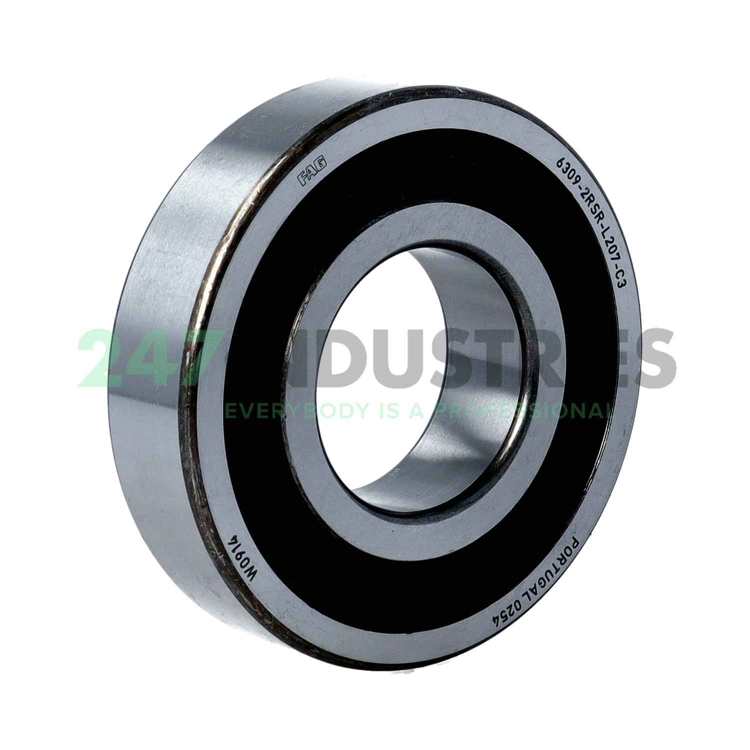 6309-2RSR-L207-C3 FAG