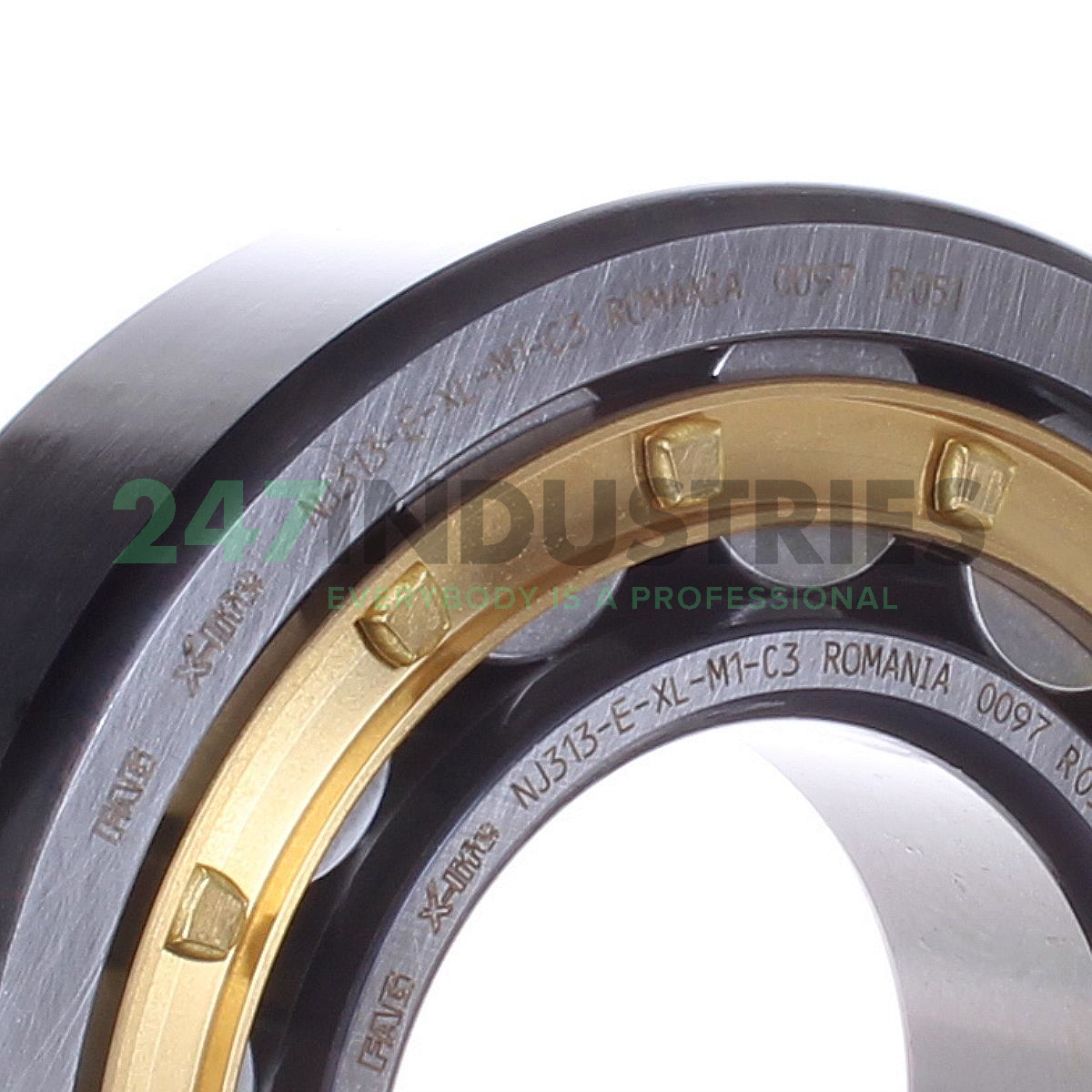 NJ313-E-XL-M1-C3 FAG Image 2