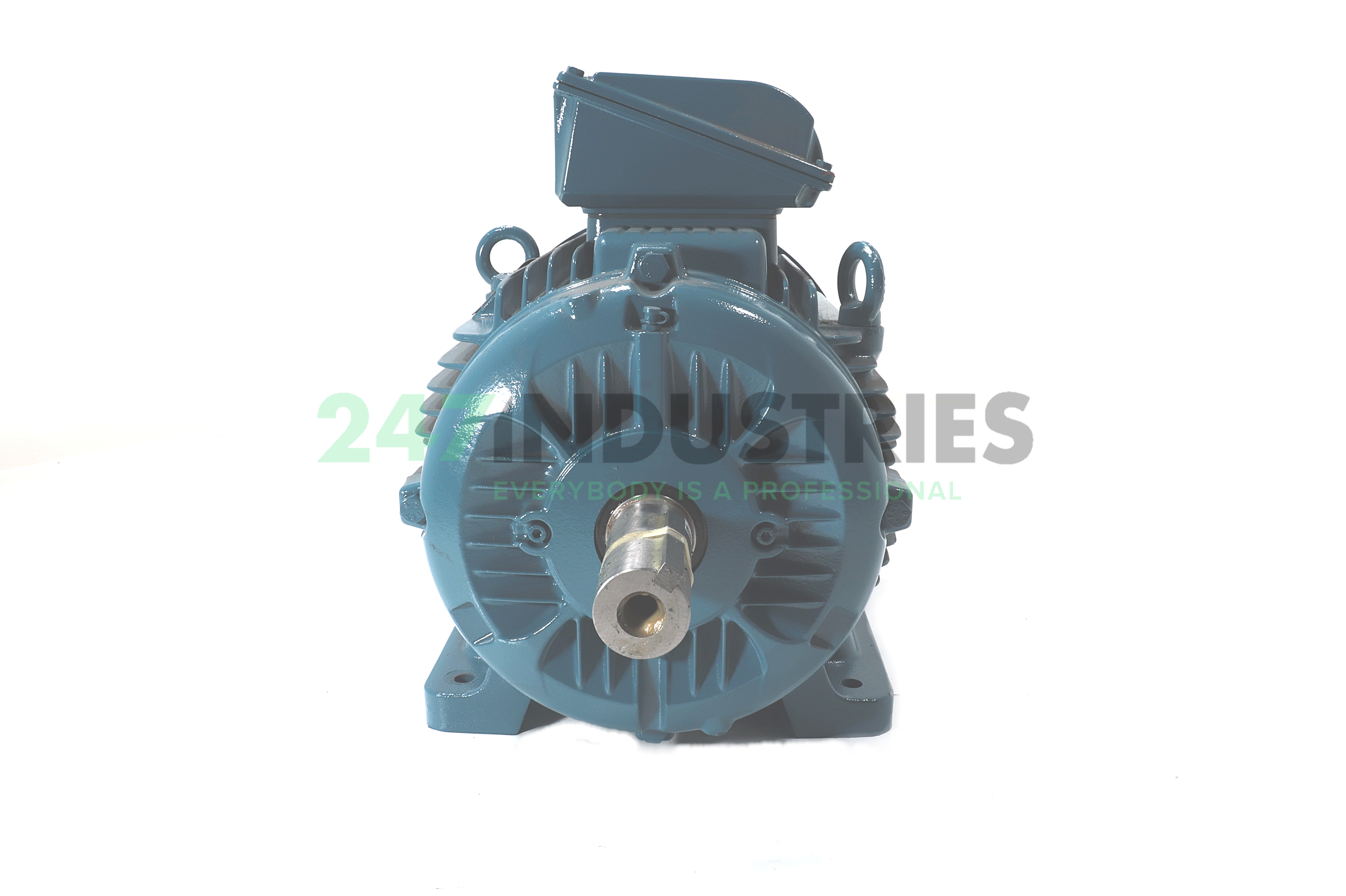 30K34CI3326T4-WEG WEG Image 2