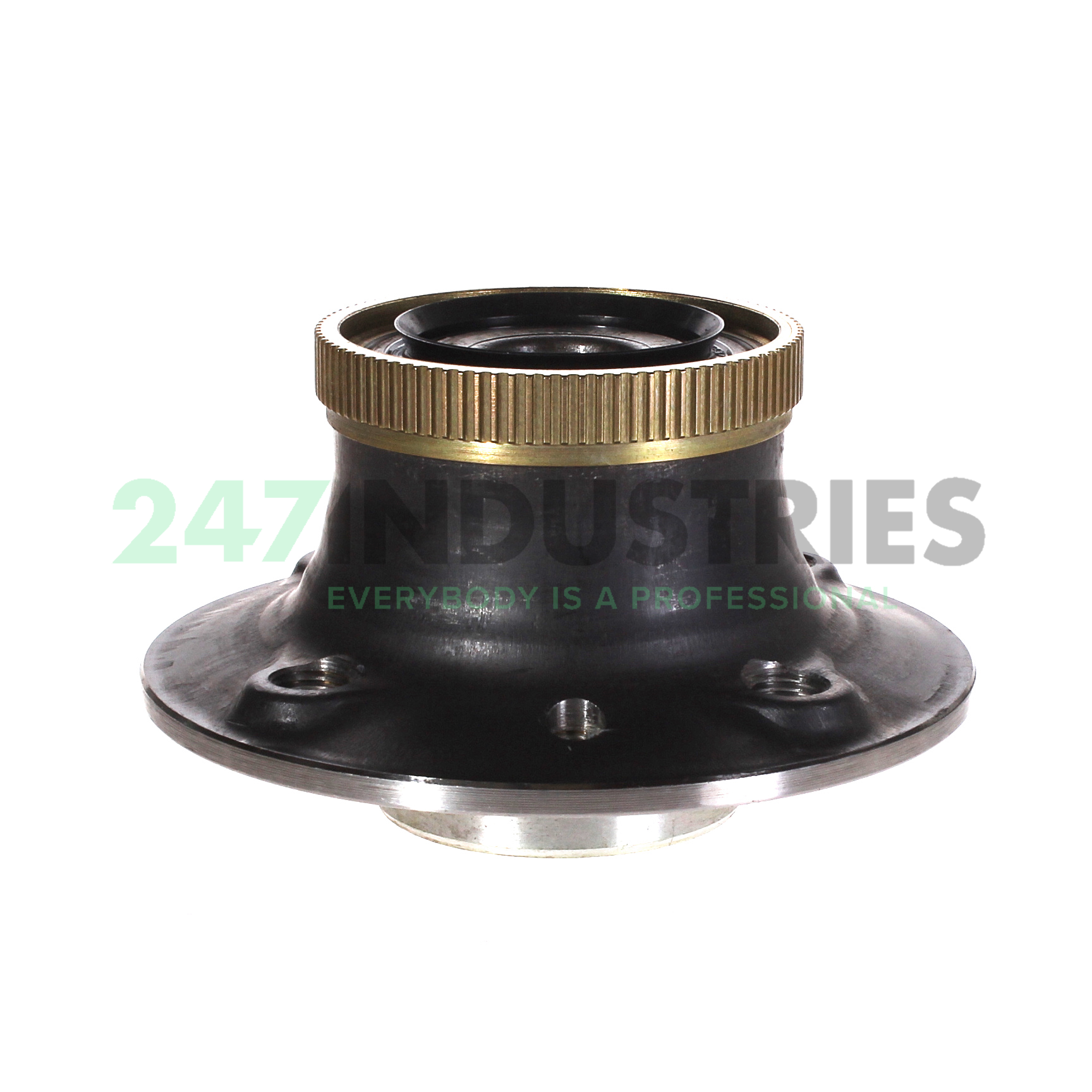 TGB12095.S25 SNR Image 4