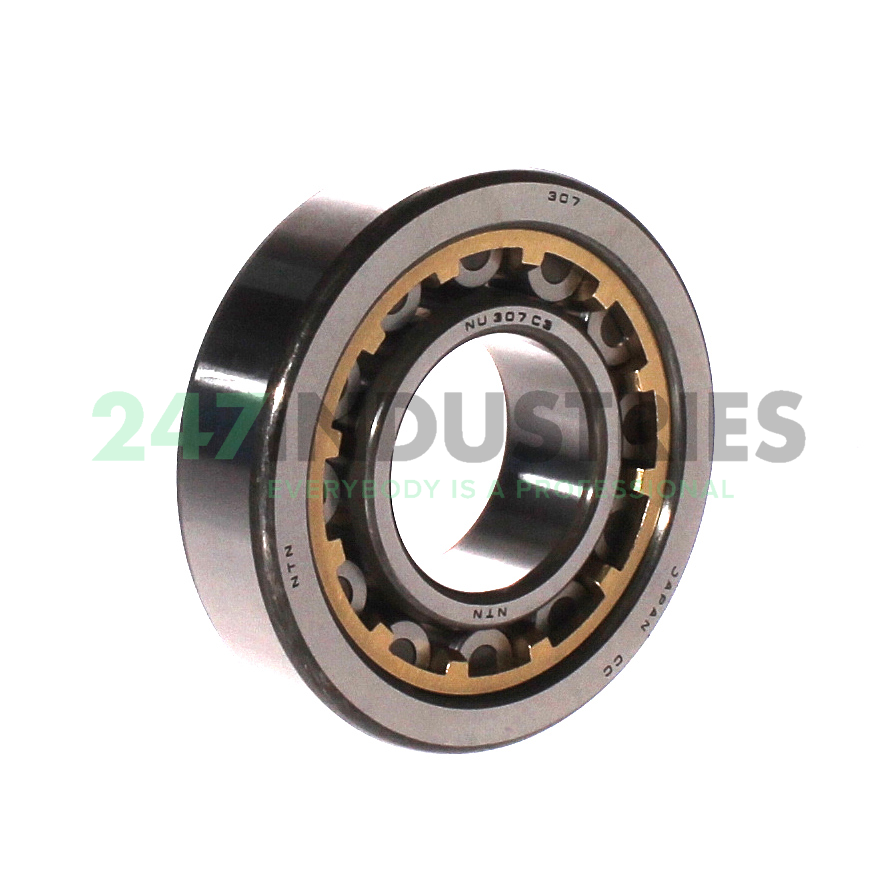 NU307G1 C3 NTN
