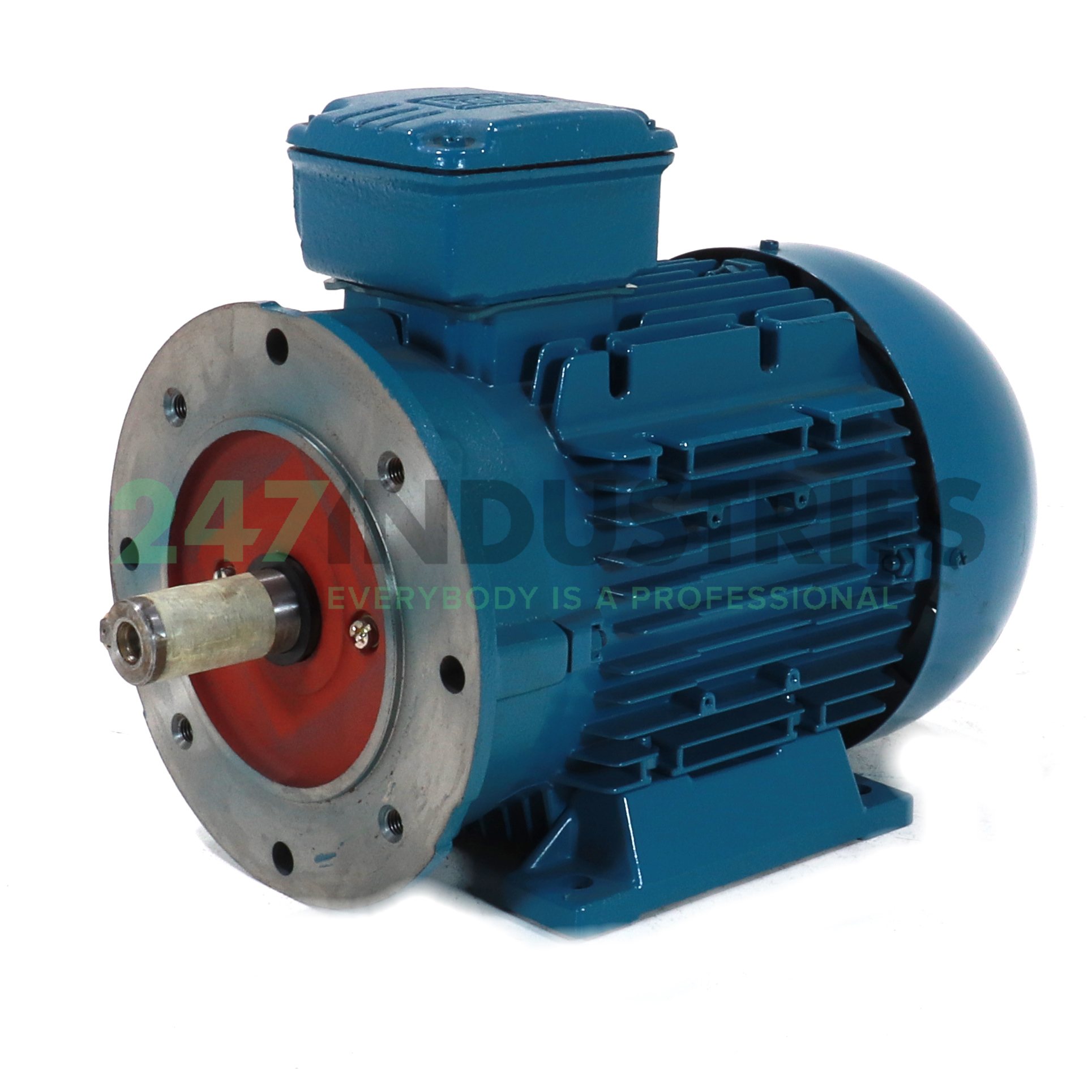 3K31AL3100L2B34 WEG