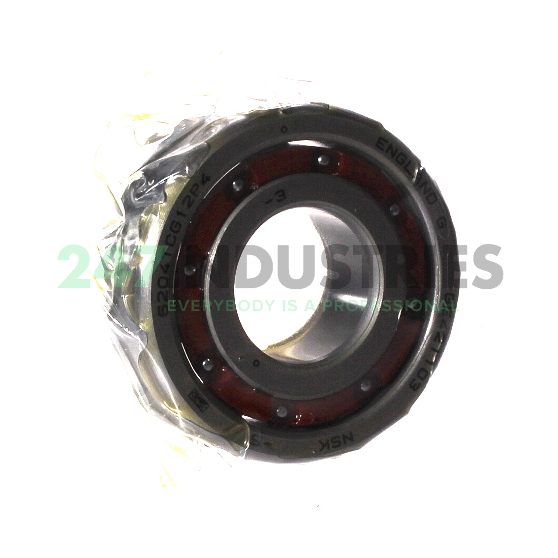 6204TCG12P4 NSK Image 1