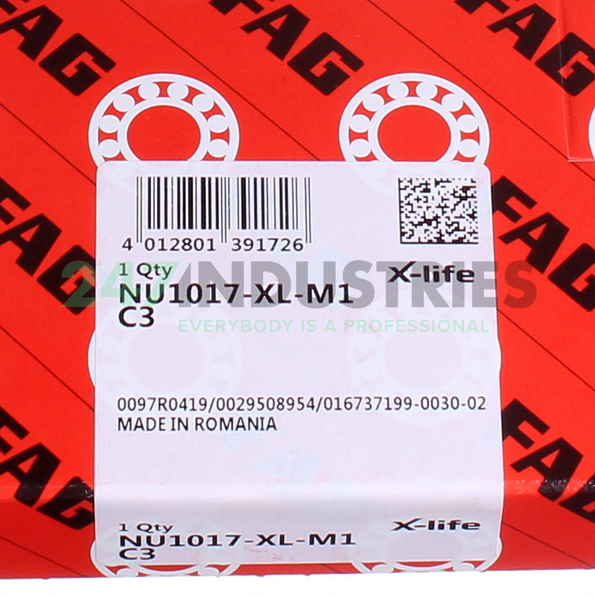 NU1017-XL-M1-C3 FAG Image 5