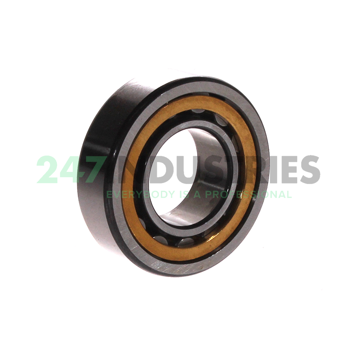 NU205-E-XL-M1-C3 FAG Image 3