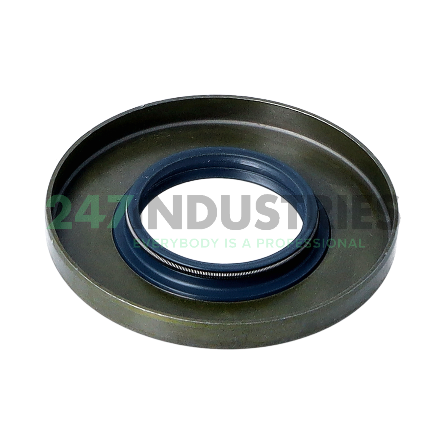 B1FUD2SL 30X62X7 Freudenberg Image 2