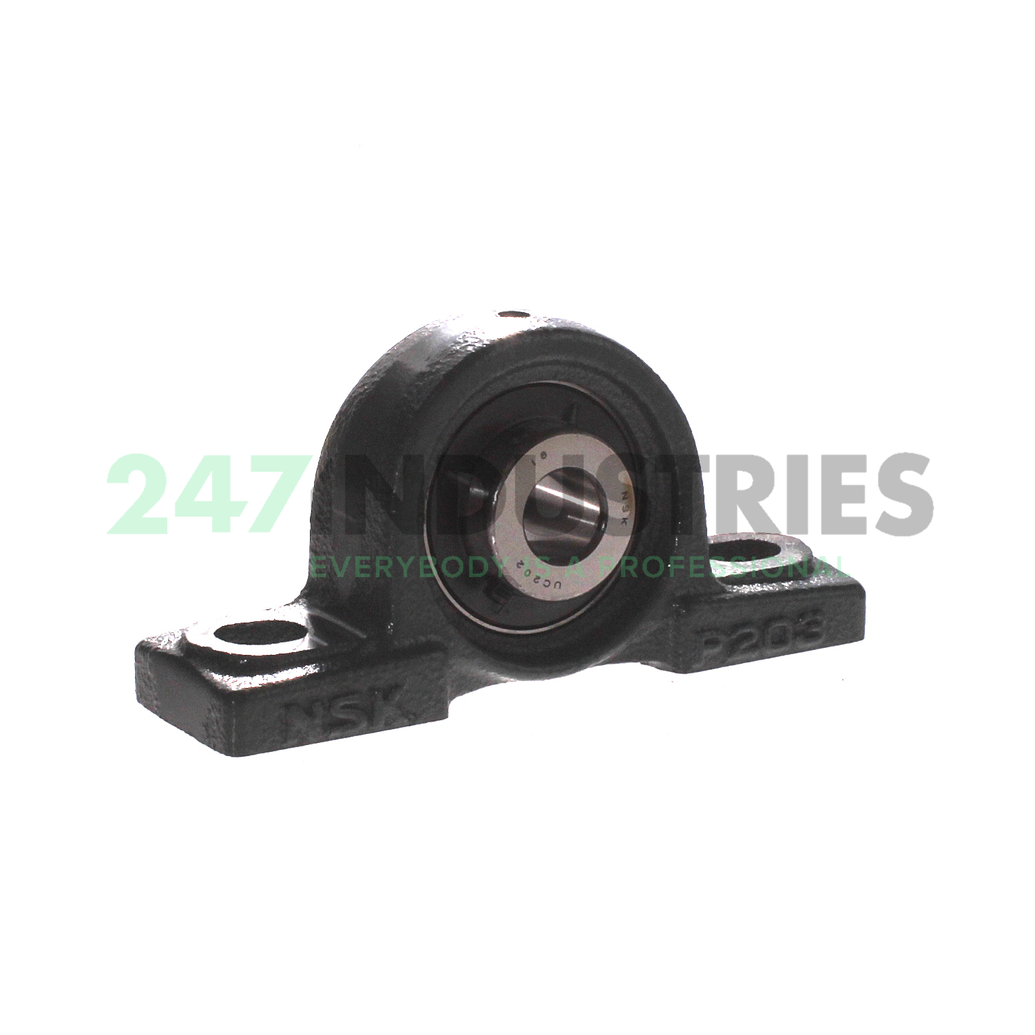 UCP202D1 NSK Image 1