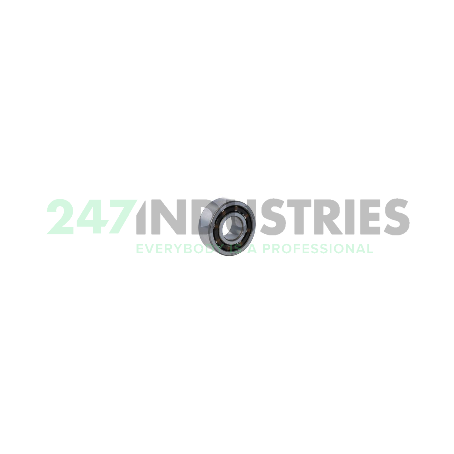 4203 INA