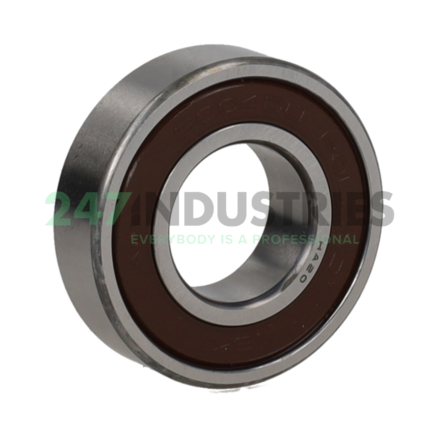 6004DUCM NSK