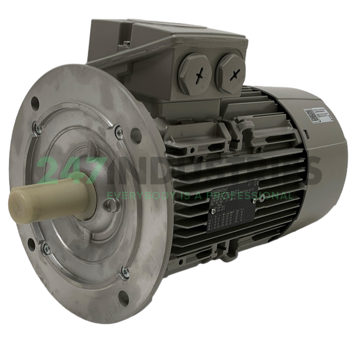 1LE1004-1AA42-2FA4 Siemens