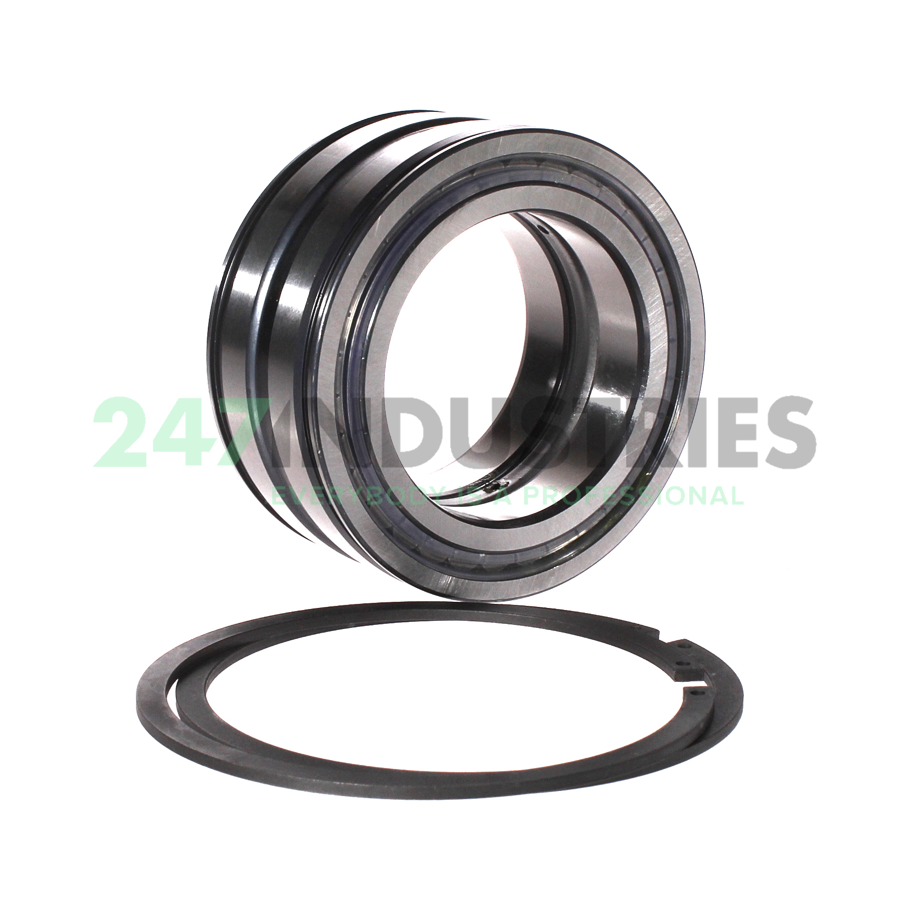 SL045013-PP-2NR-C3-L091 INA Image 3