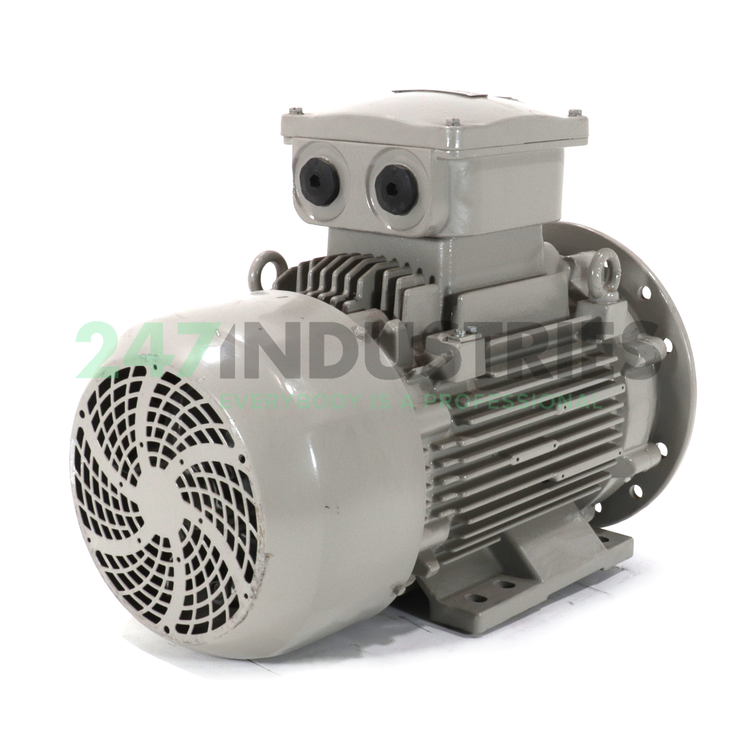 DNGW-132SR-02D Loher Image 3