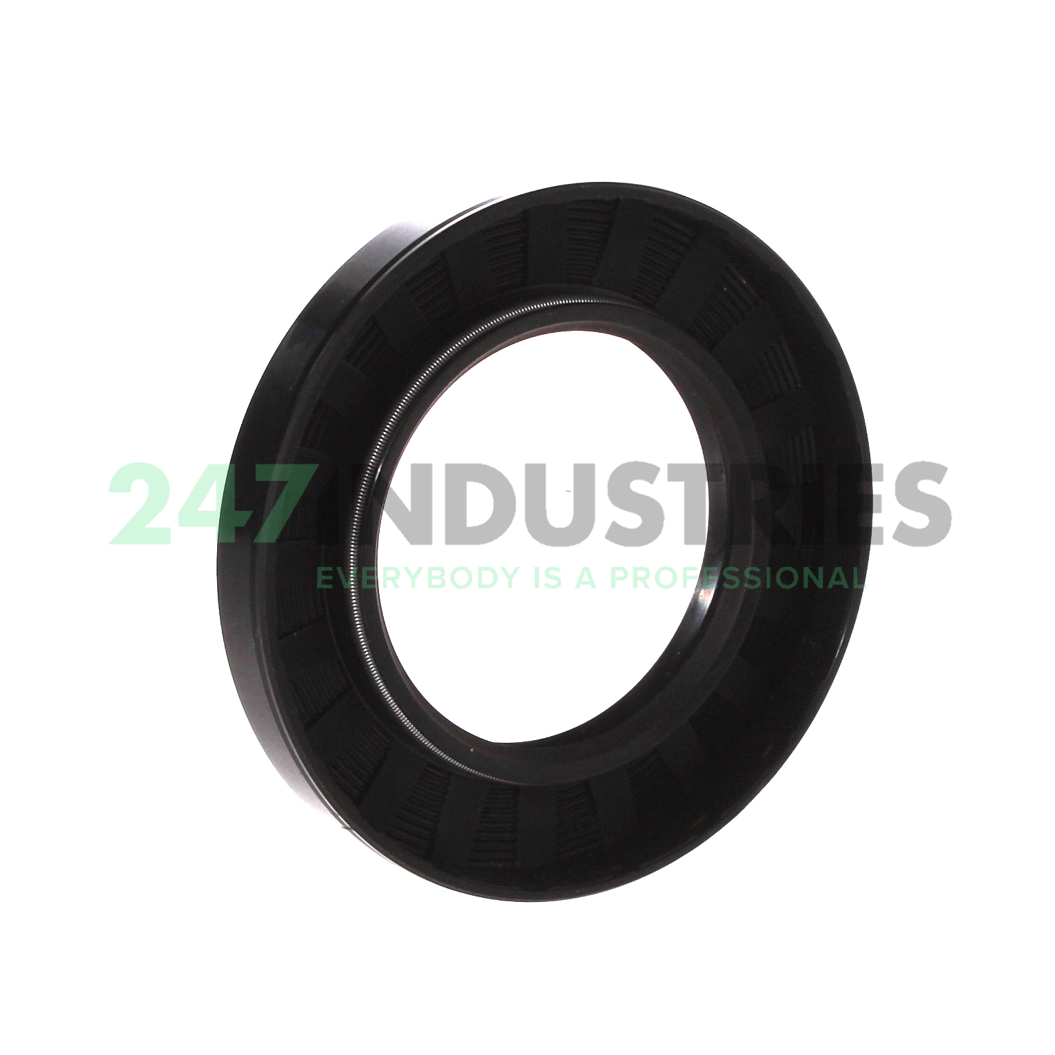 TC2.250X3.750X0.500 CHO Champ Oil Seals Image 2