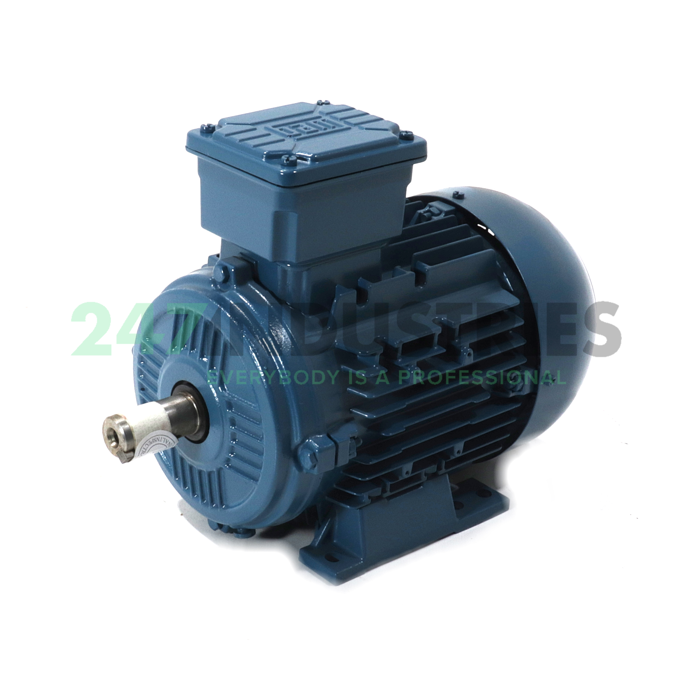 1.5K31AL390S/L2B3 WEG