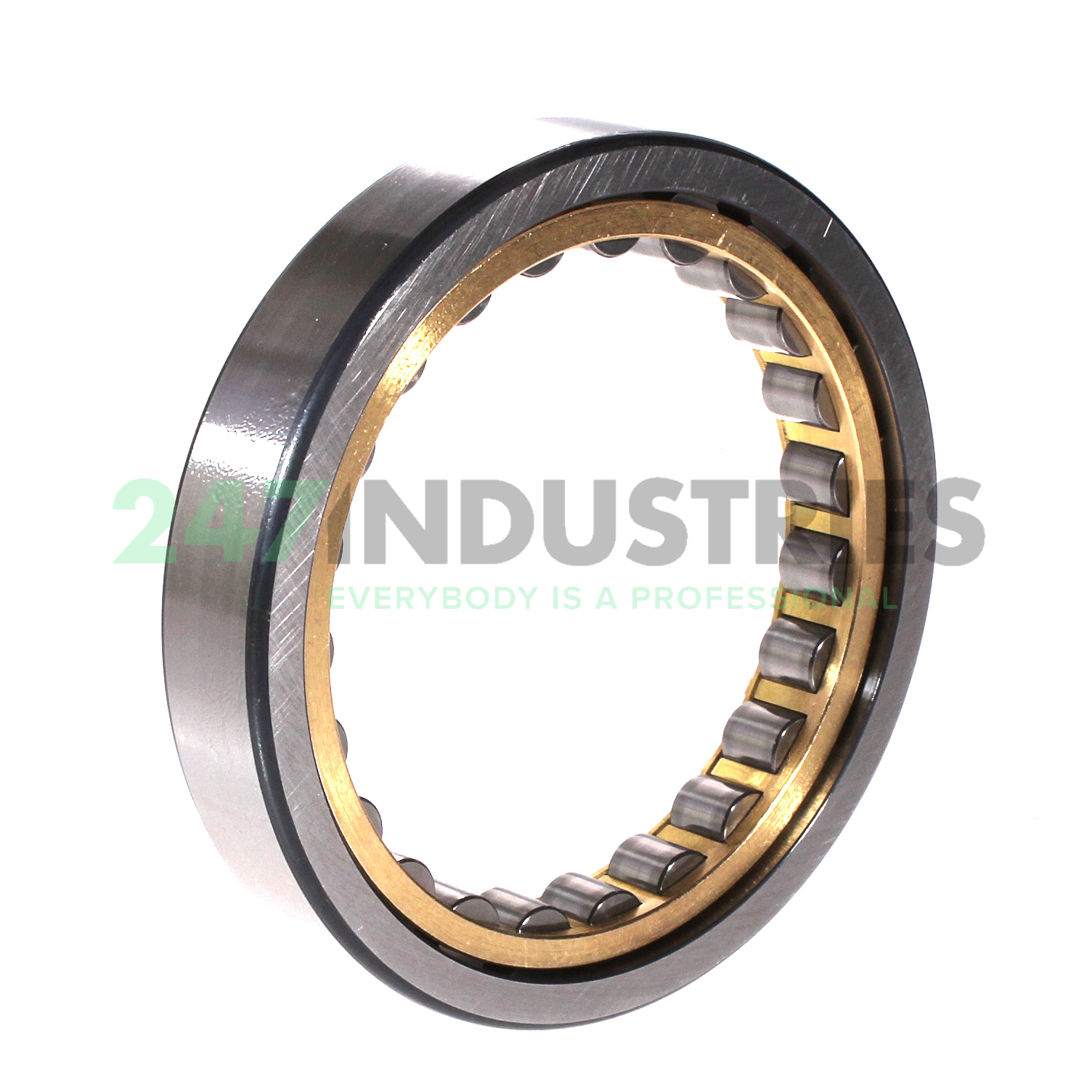 RNU1014-XL-M1 FAG Image 2