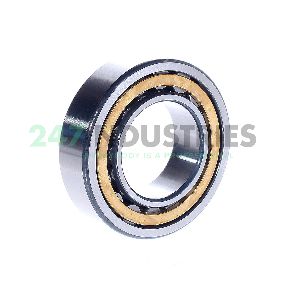 NU2209-E-XL-M1 FAG Image 2