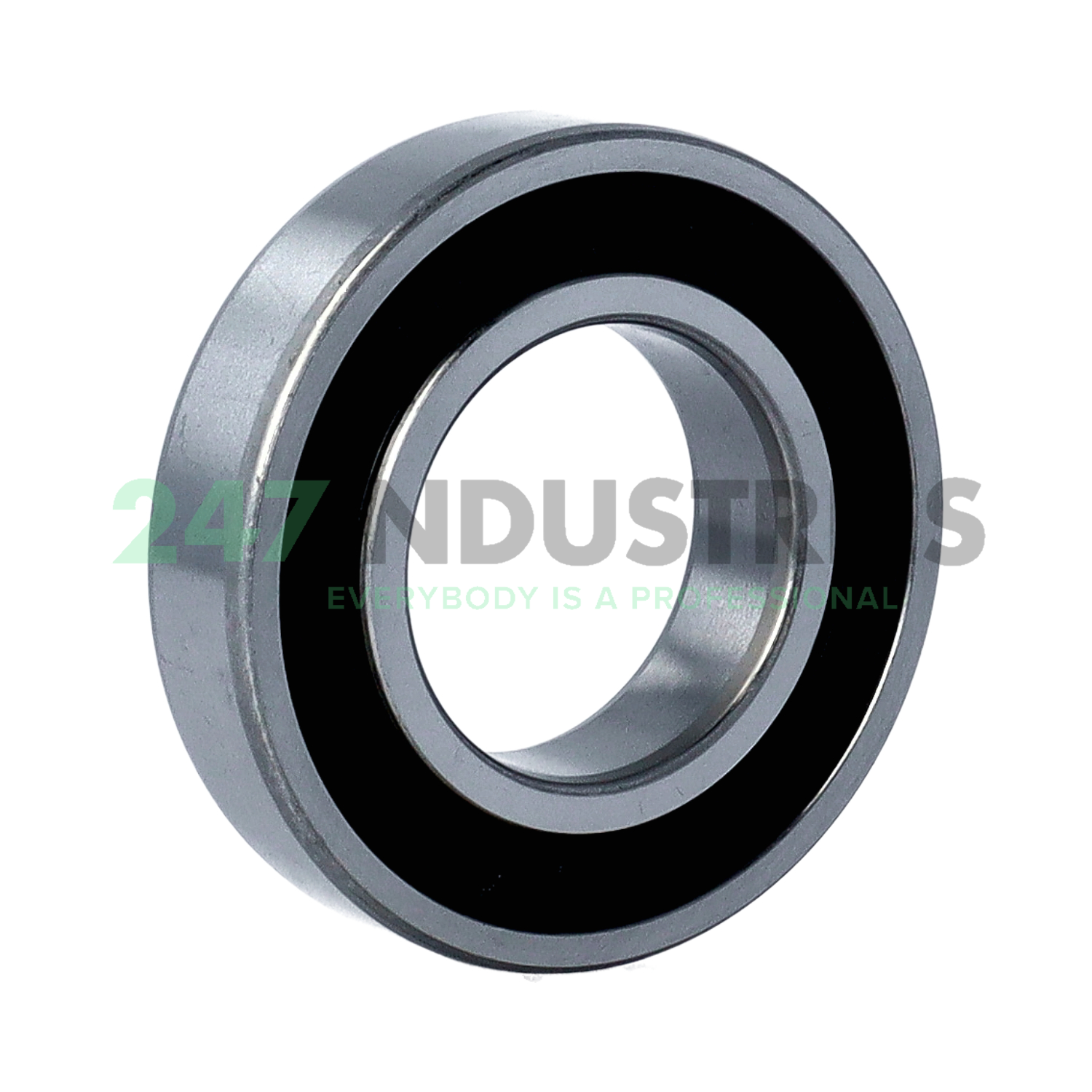 6209 2RS FSY Image 2