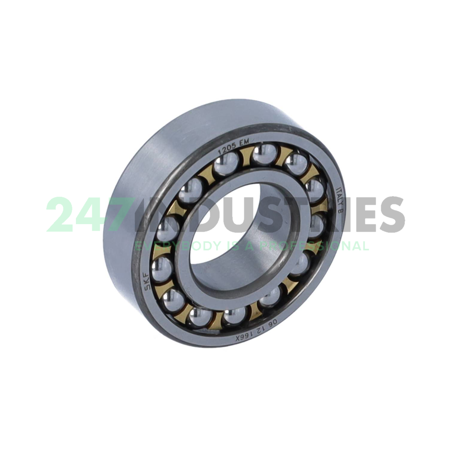 1205EM SKF Image 1