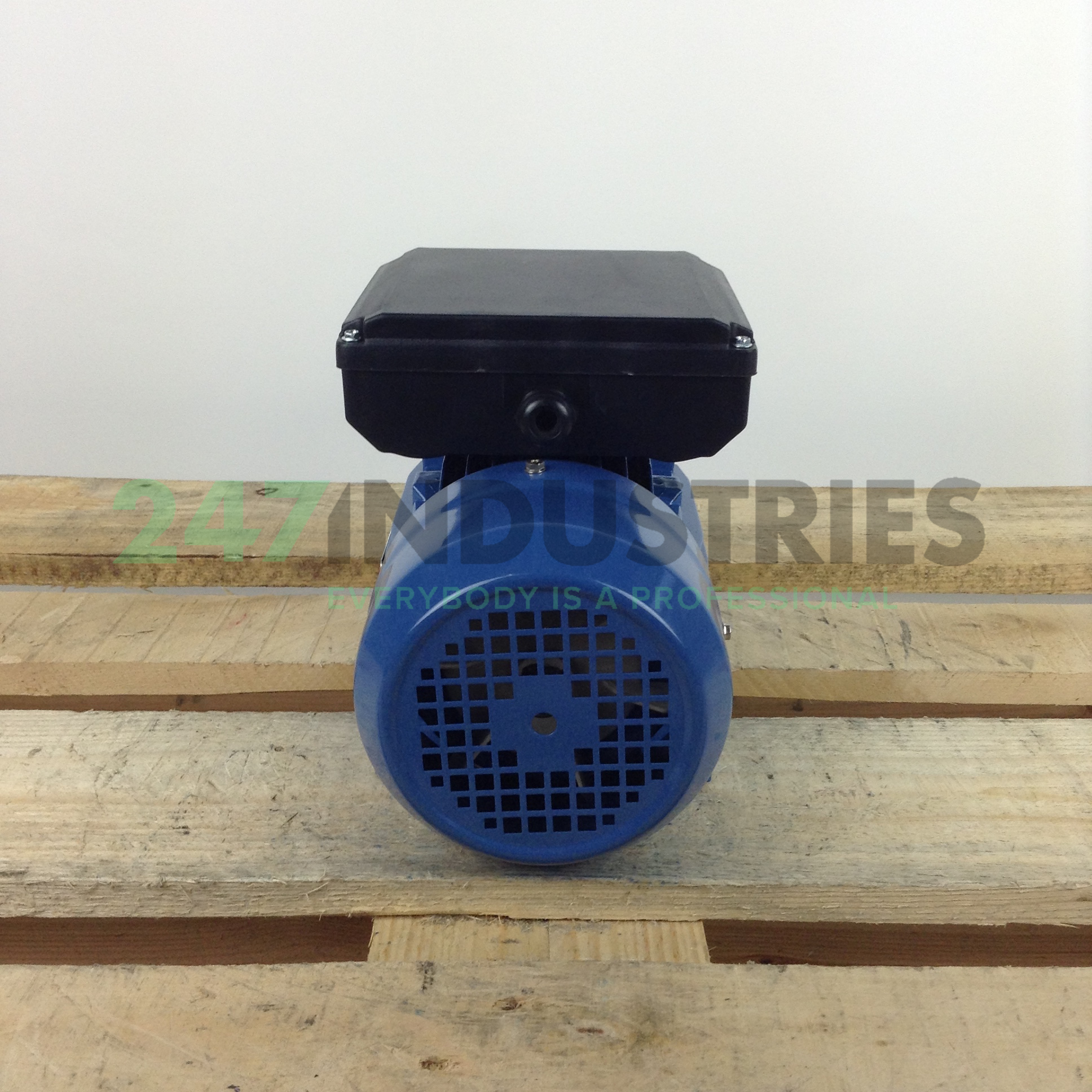 ML8024B34 Gibbons Image 5