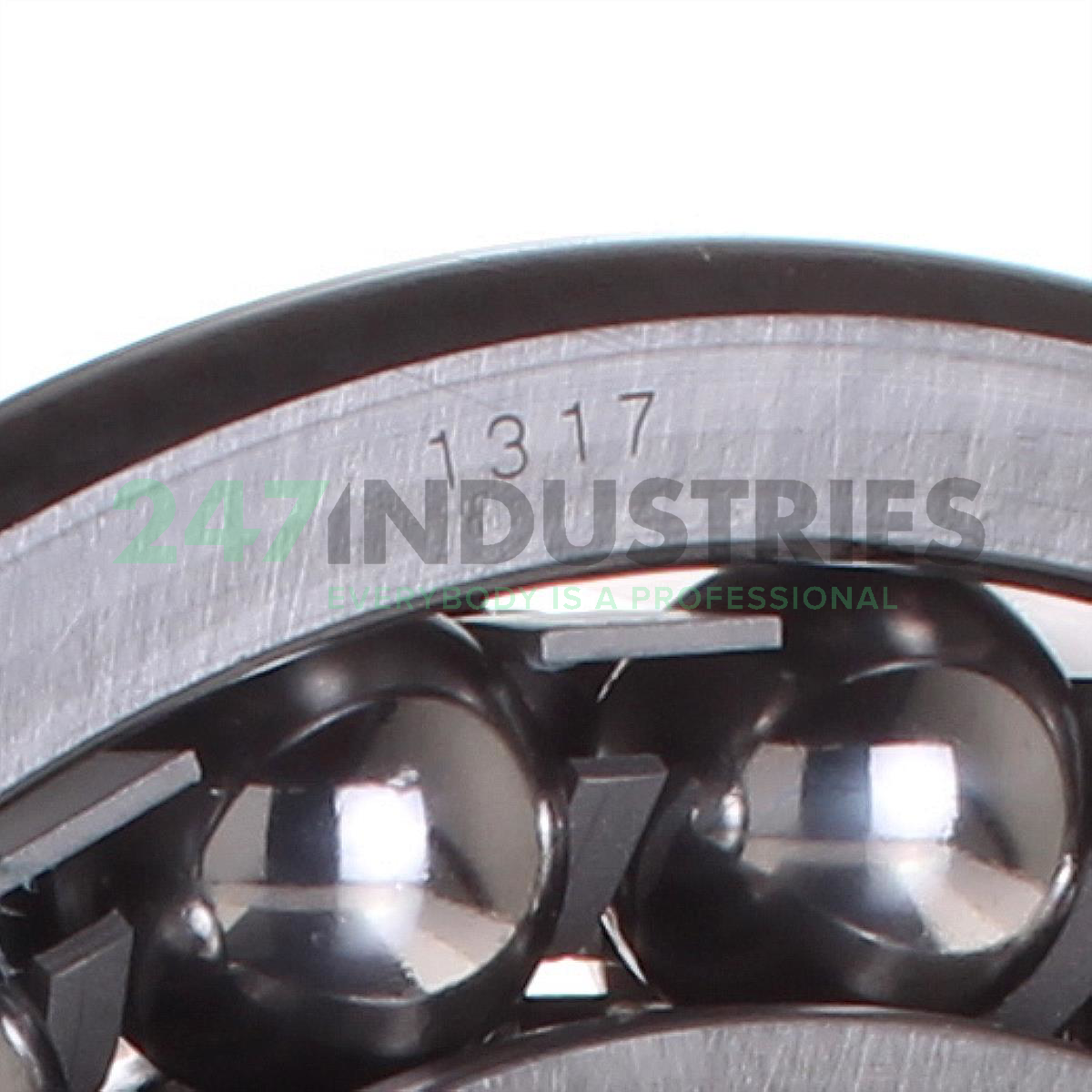 1317 SKF Image 2