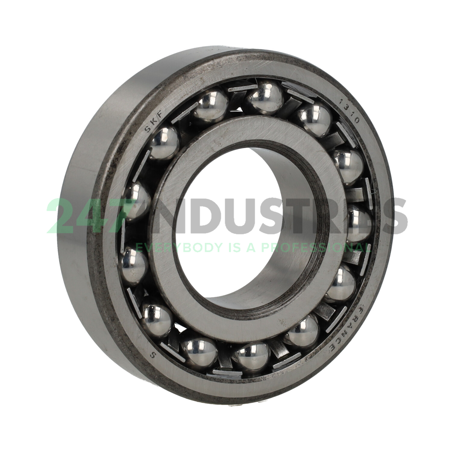 1310 SKF
