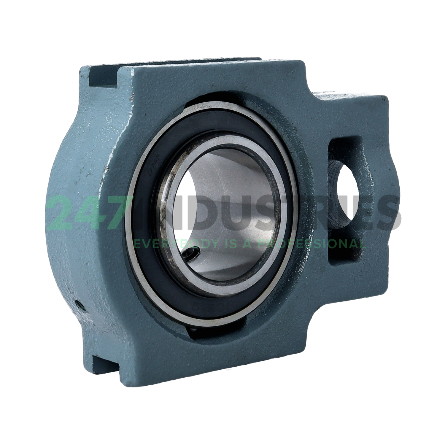 UCST210 Asahi Image 3