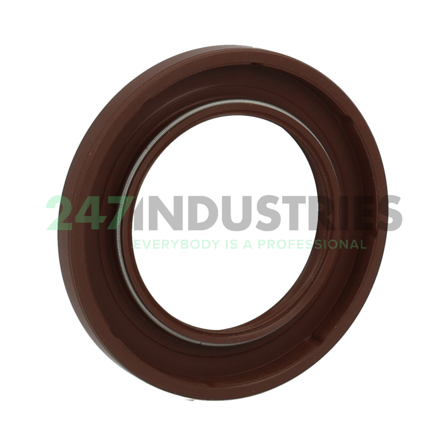 TF40X62X7 NAK Sealing Technologies Image 2