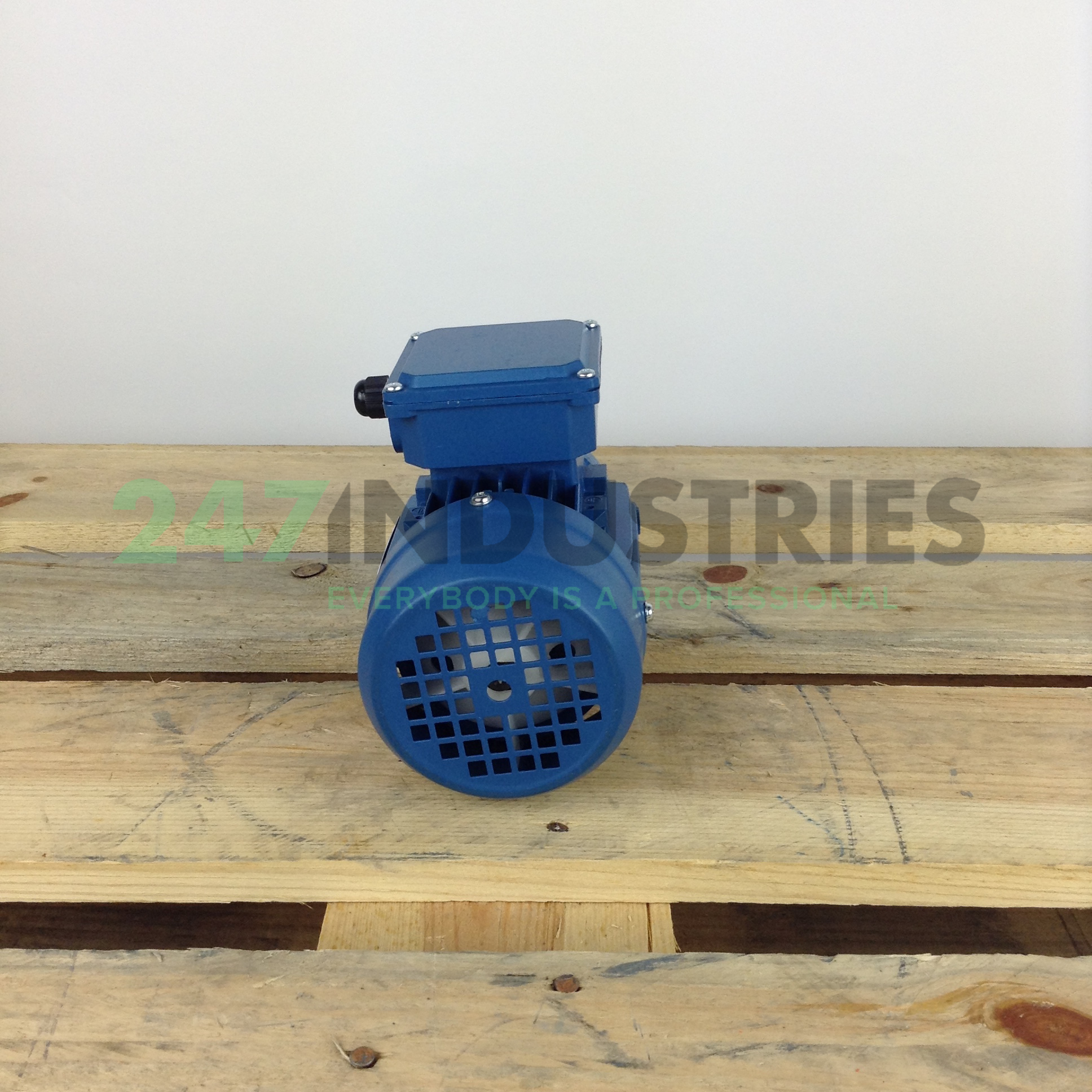 BF3163M-4B14 Universal Motors Image 5