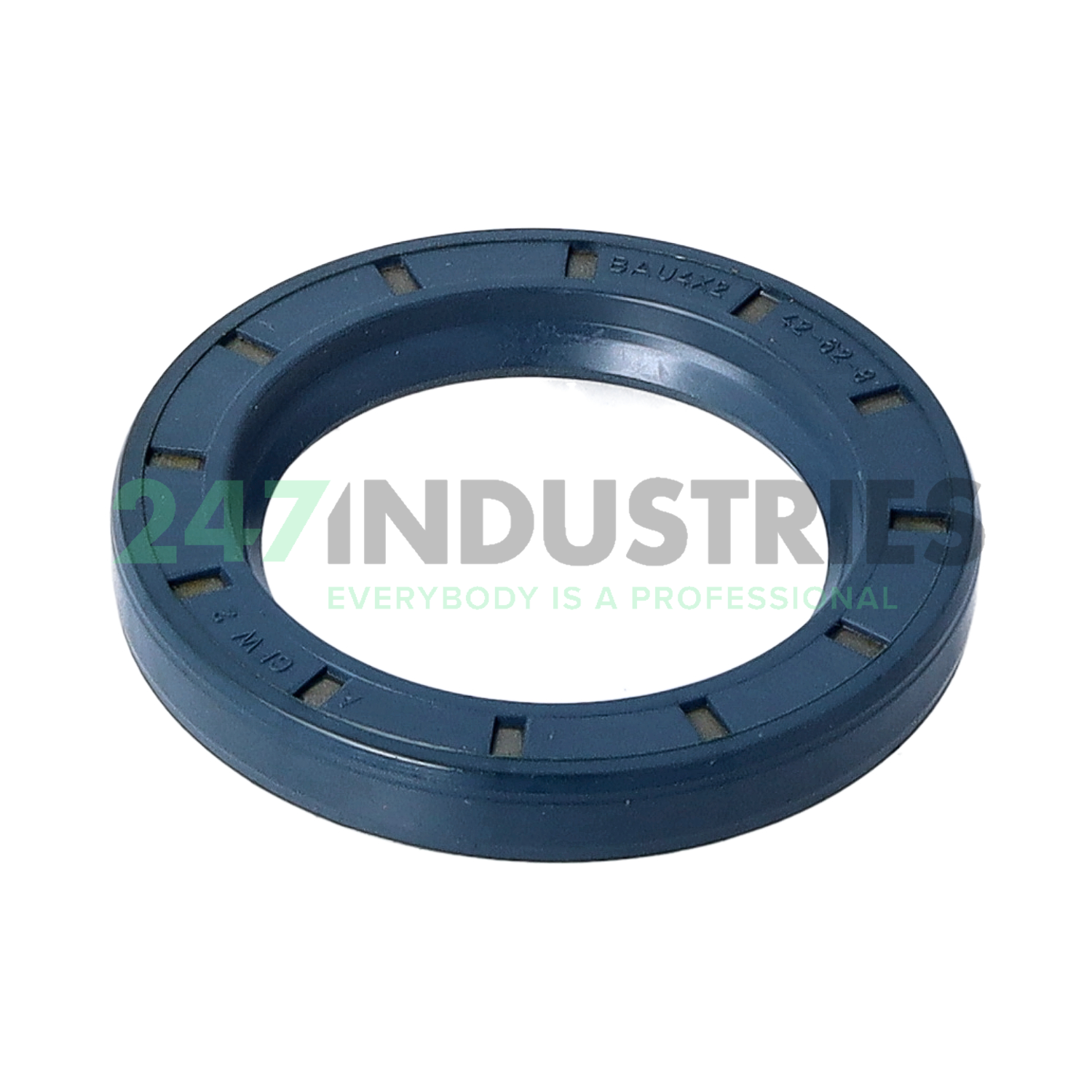 BAU4X2 42X62X8 Freudenberg