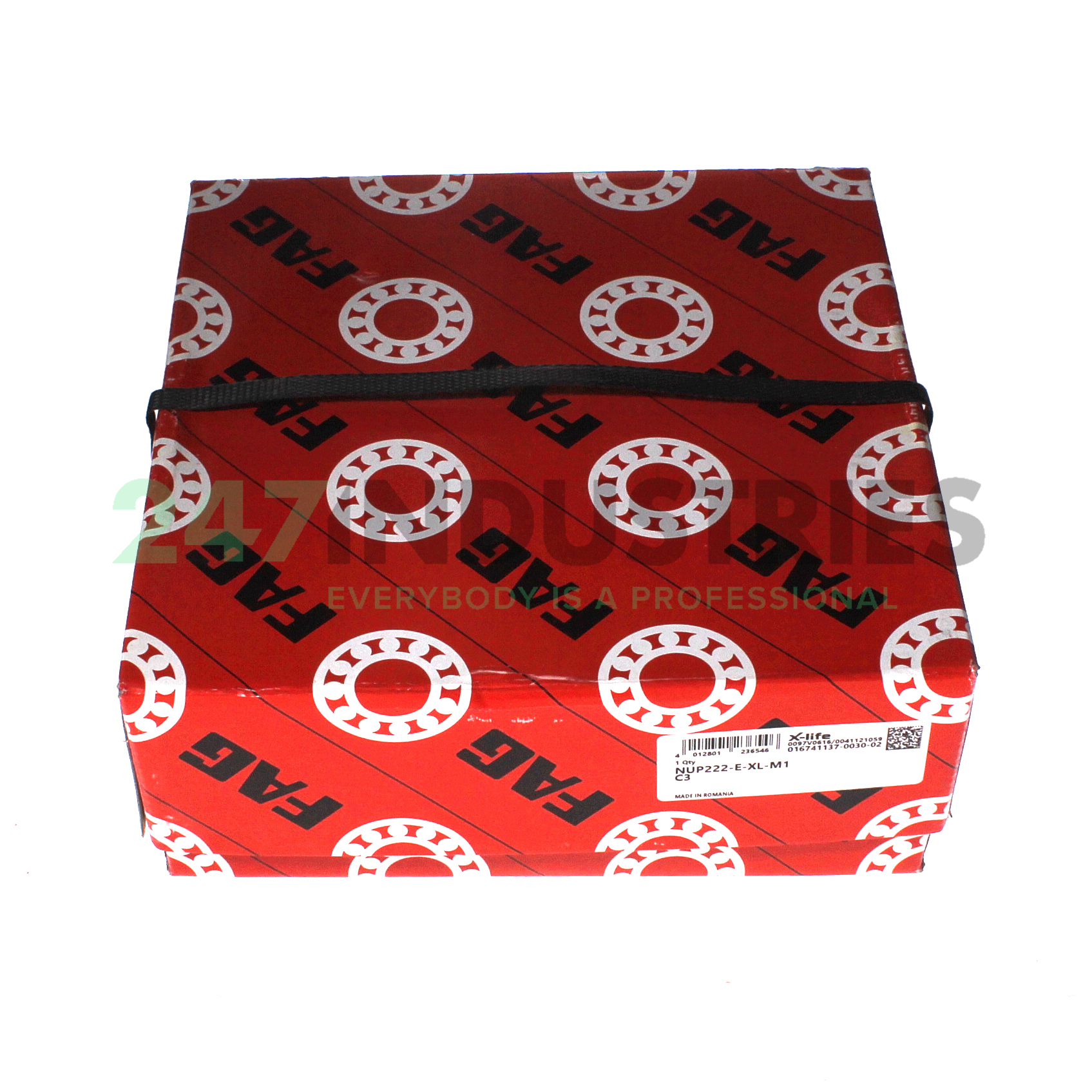 NUP222-E-XL-M1-C3 FAG Image 4