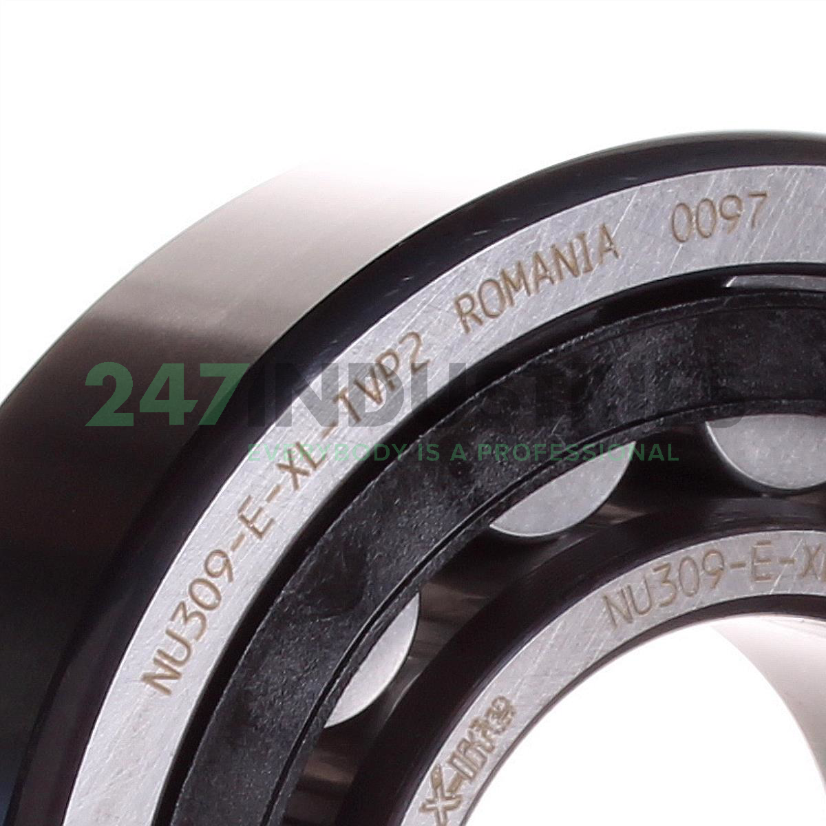 NU309-E-XL-TVP2 FAG Image 2