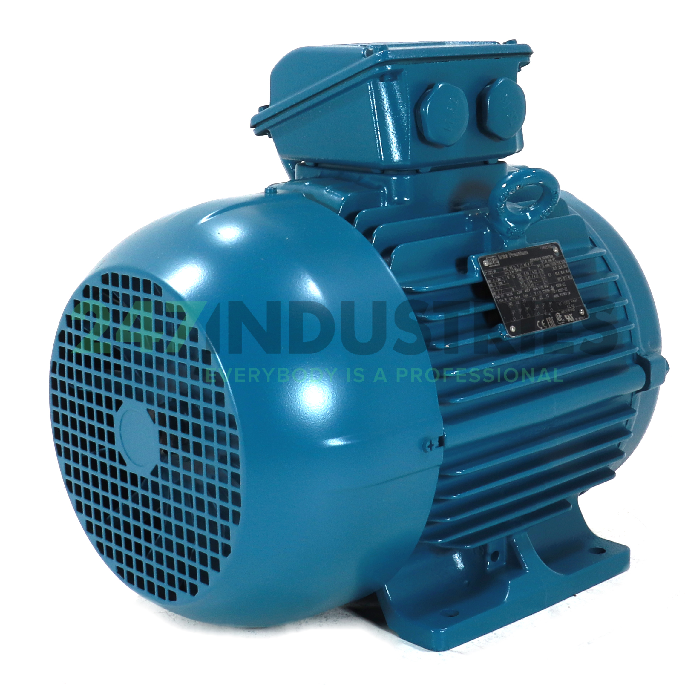 8K32CI0132M4/2B3 WEG Image 3