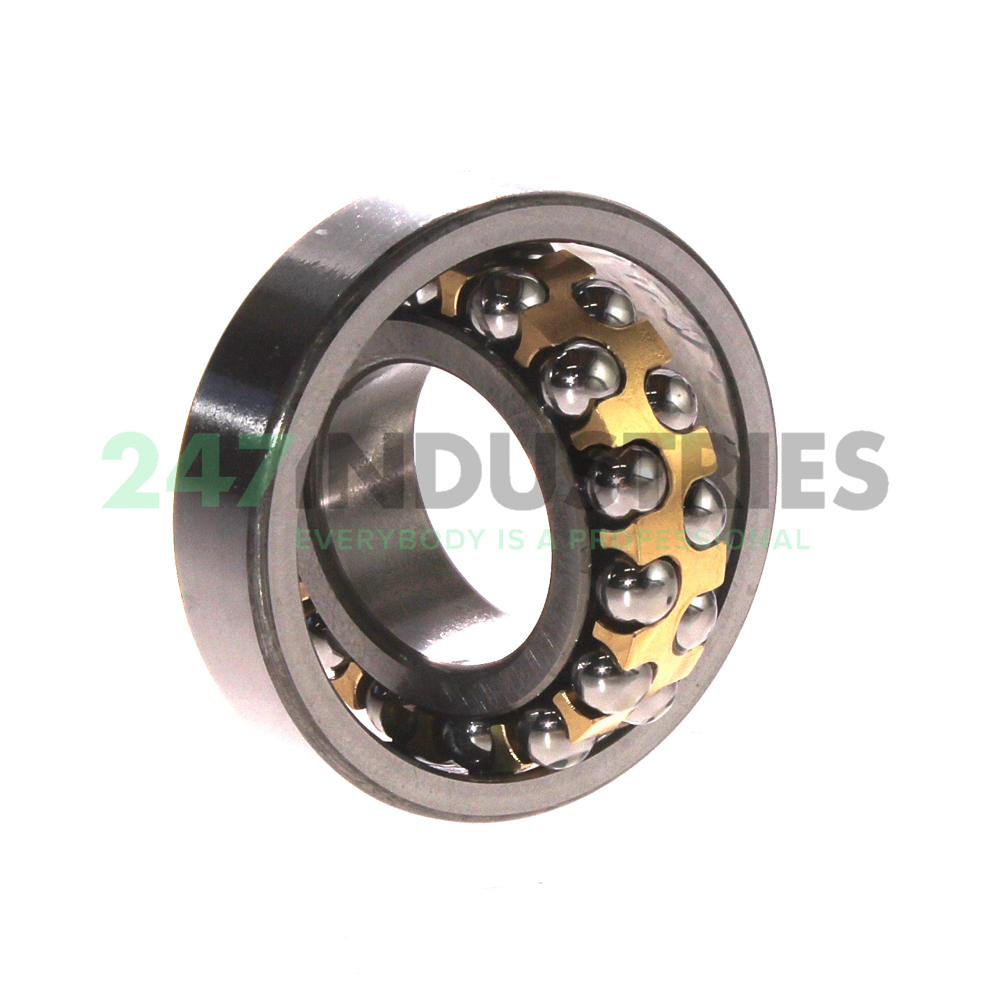 1206EM SKF Image 3