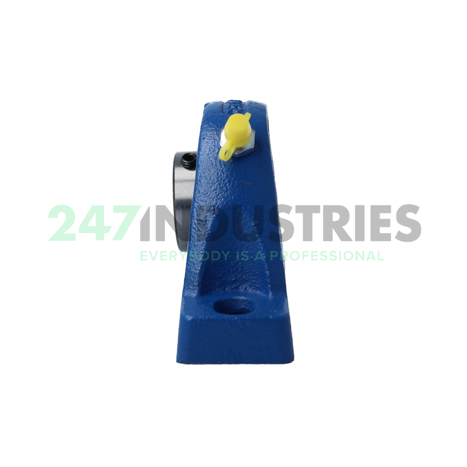 USPE.205 SNR Image 3