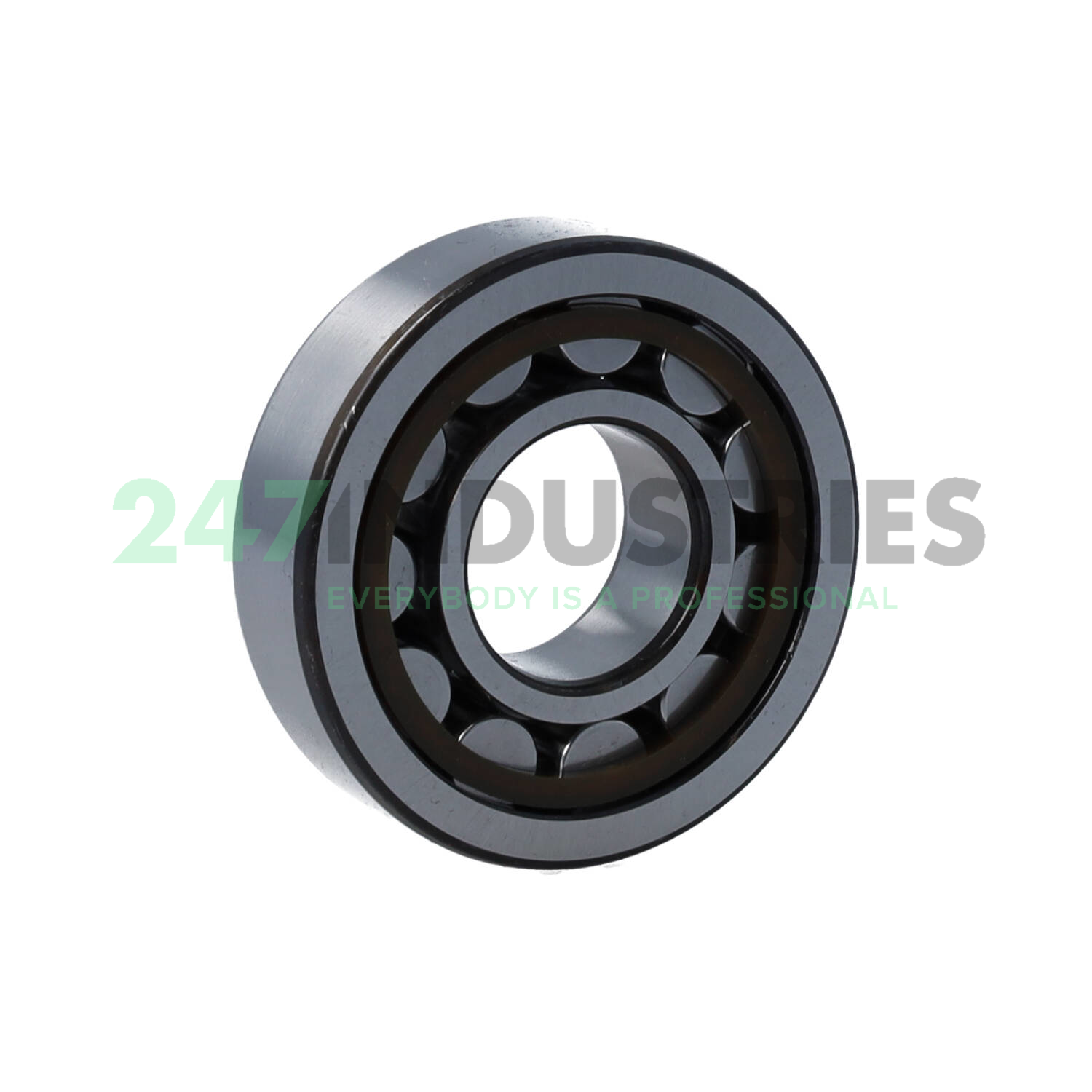 NJ305ECP/C4VQ015 SKF Image 2