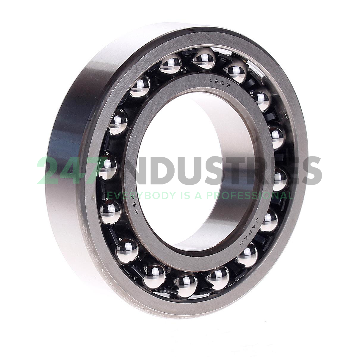 1209 NSK Image 1