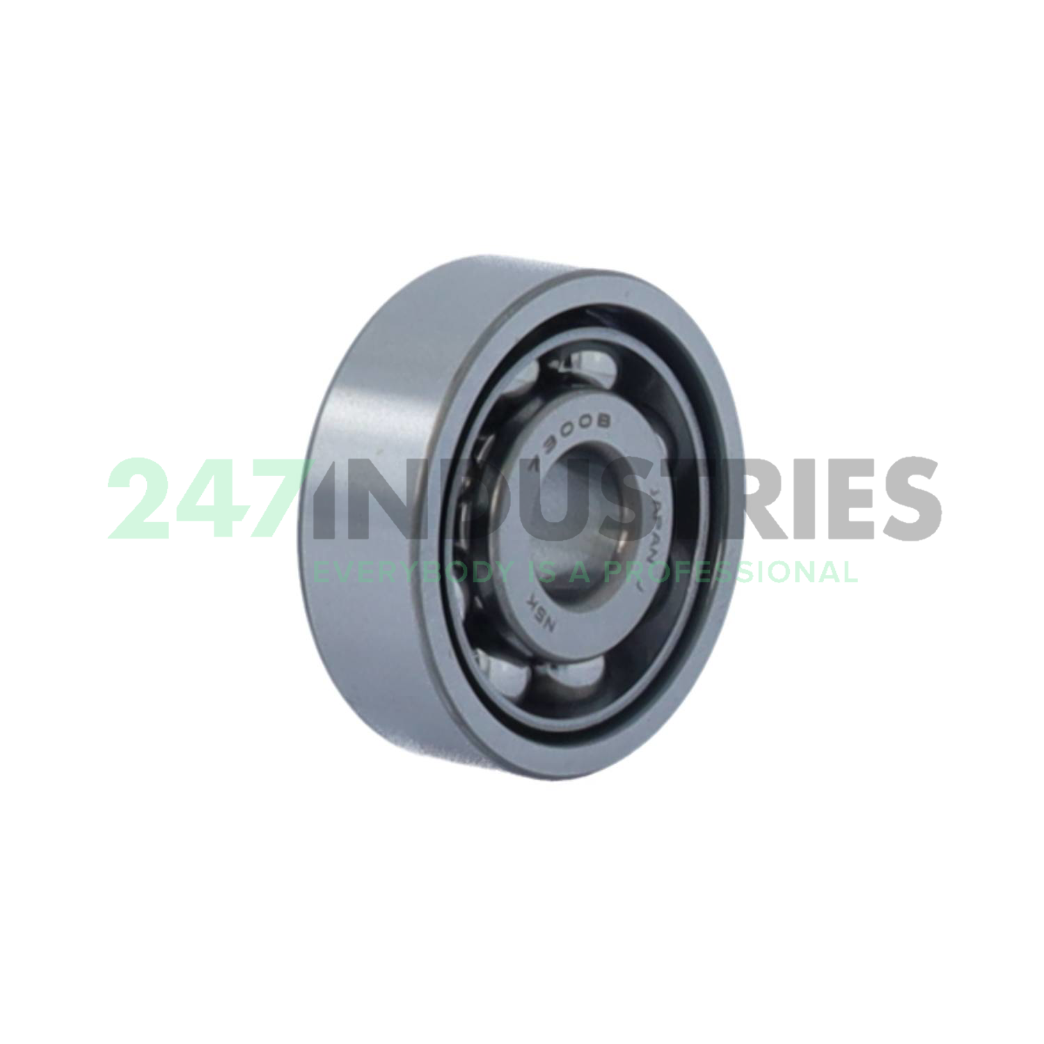 7300BW NSK