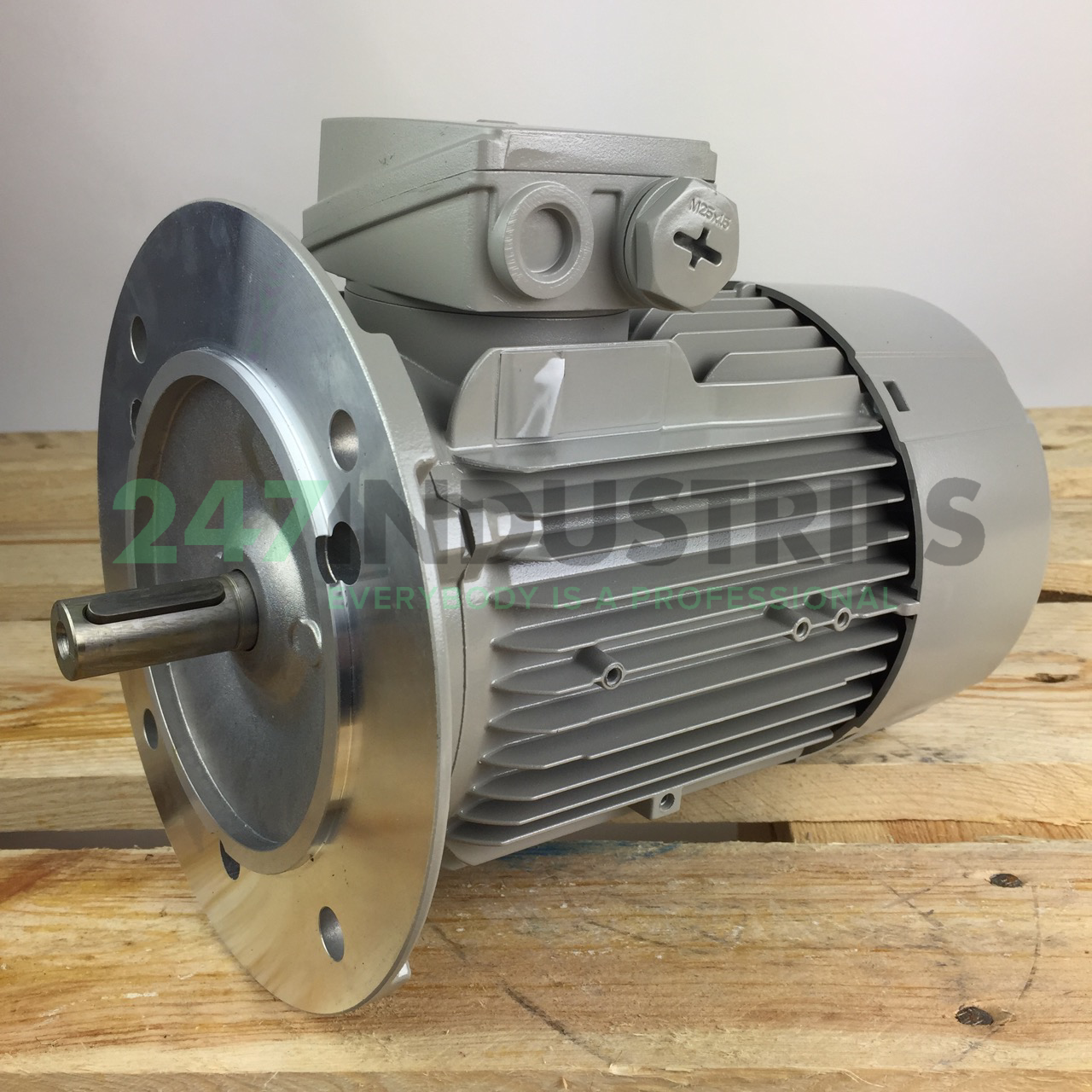 1LE1001-0DB22-2FA4 Siemens