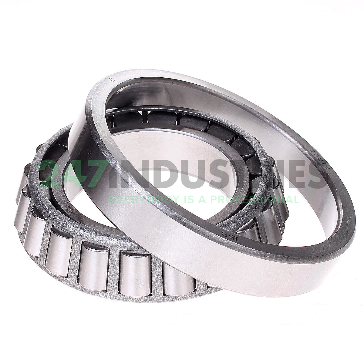 30215 IBB Fiedler Image 2