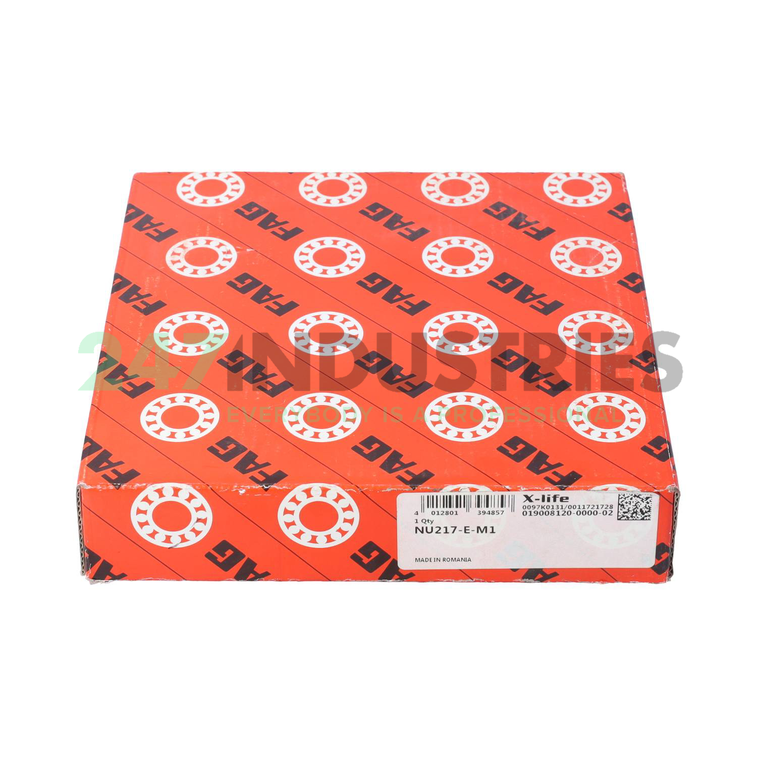 NU217-E-M1 FAG Image 4