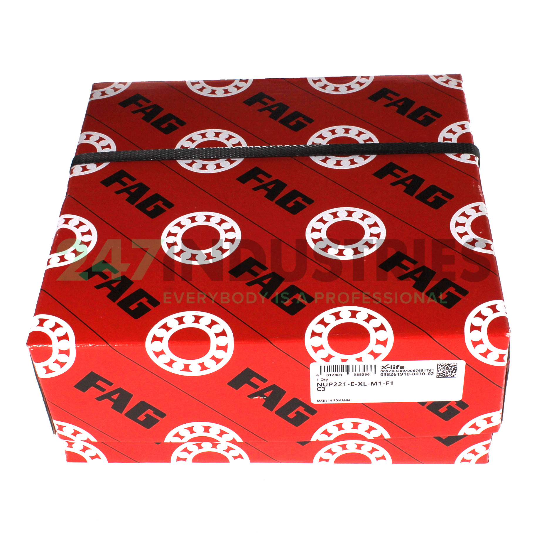 NUP221-E-XL-M1-F1-C3 FAG Image 4